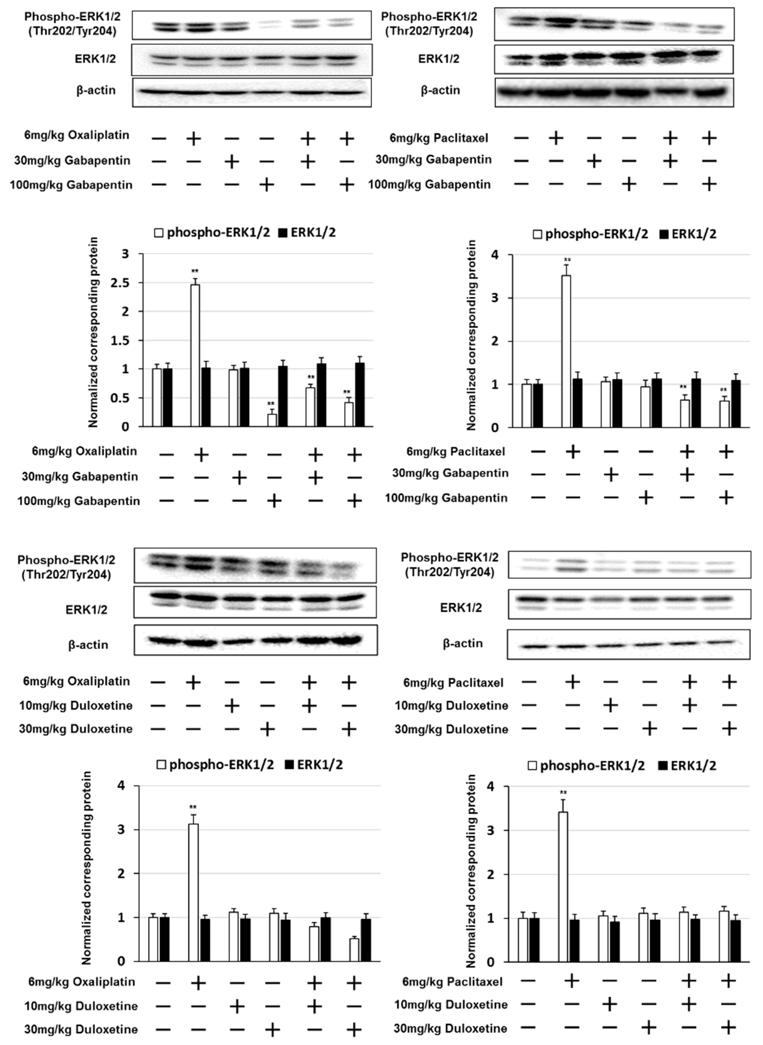 Pharmaceuticals 14 00030 g005 Pharmaceuticals 14 00030 g005
