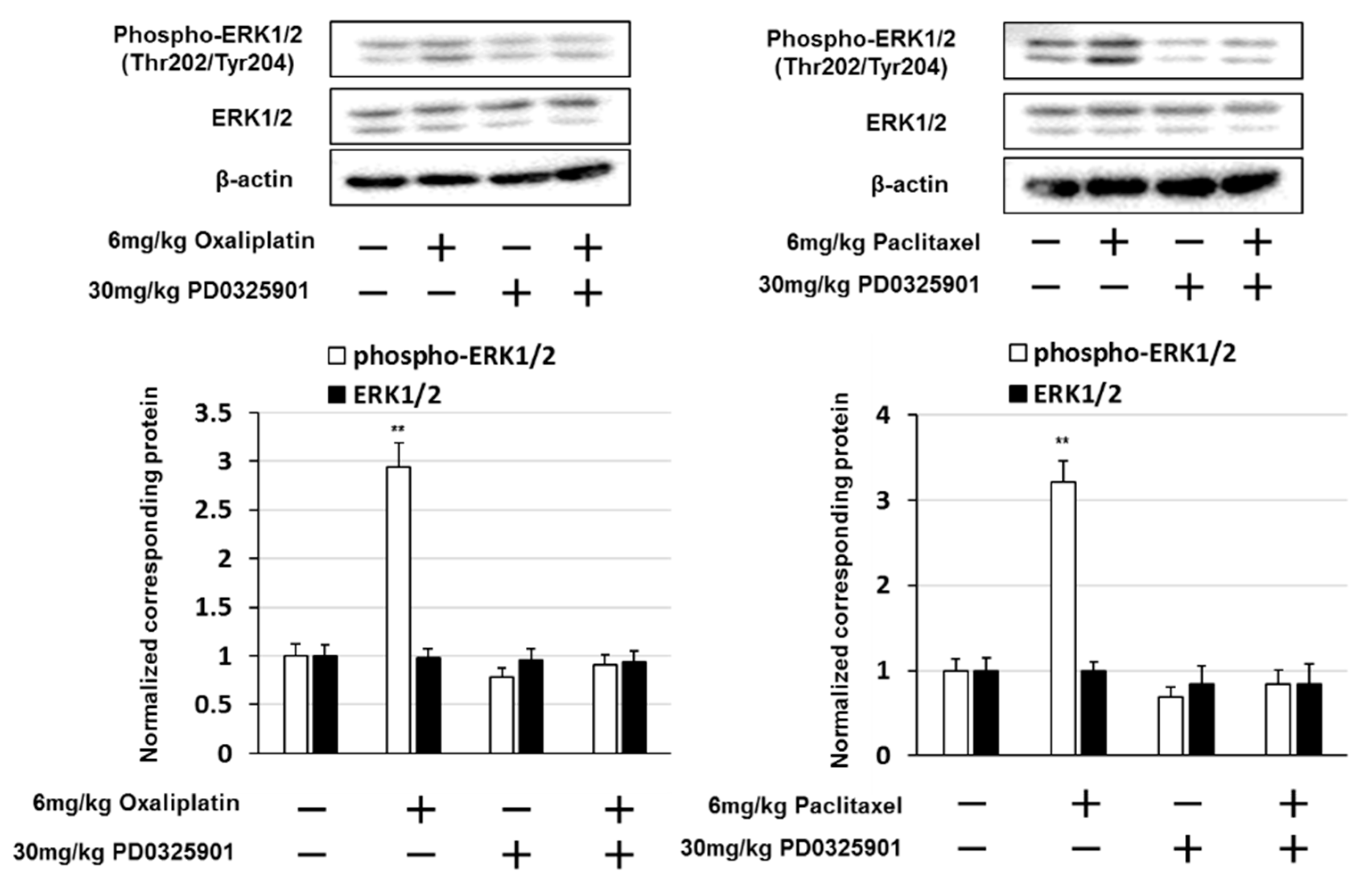 Pharmaceuticals 14 00030 g008 Pharmaceuticals 14 00030 g008