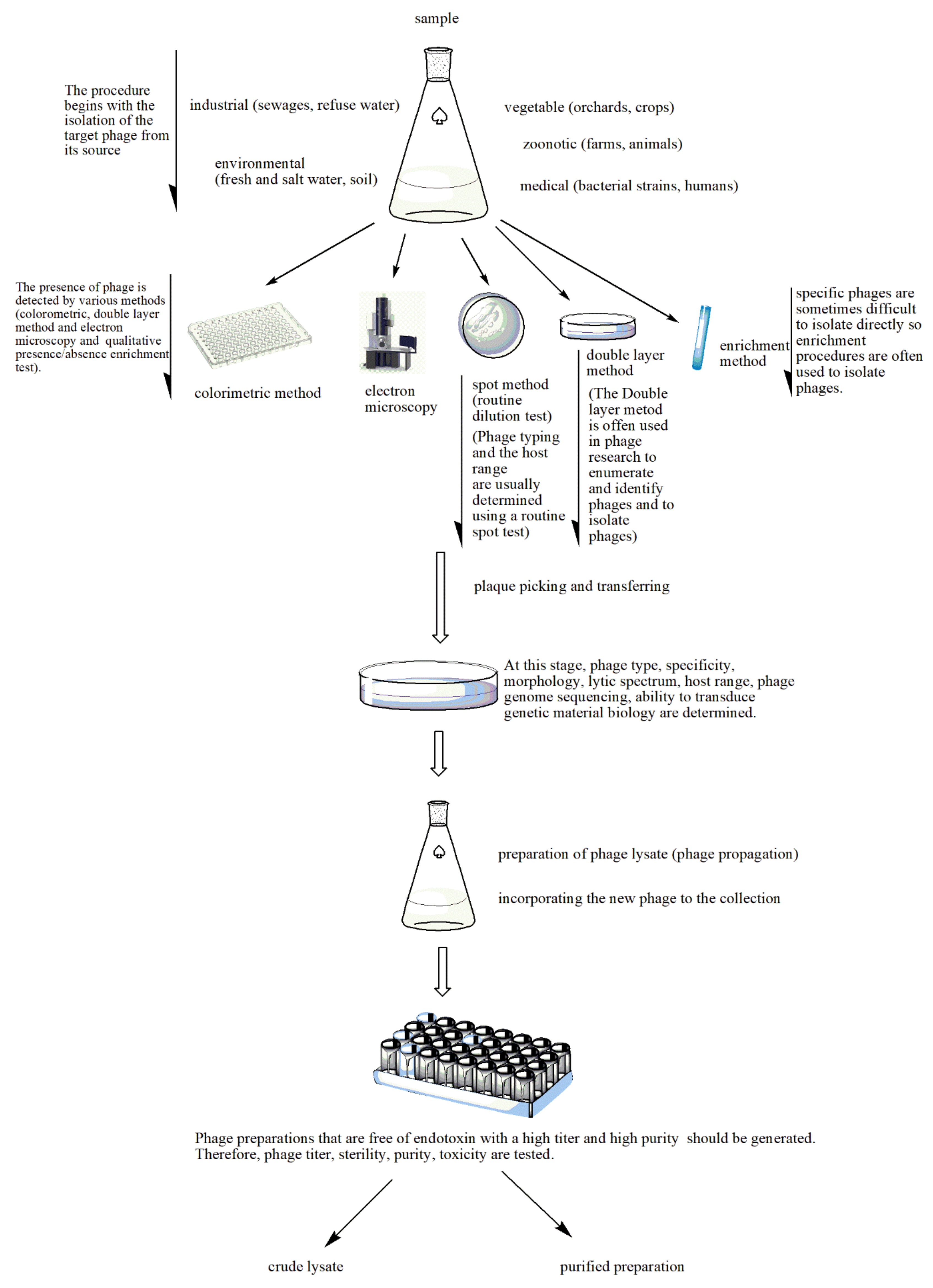 Pharmaceuticals 14 00034 g002