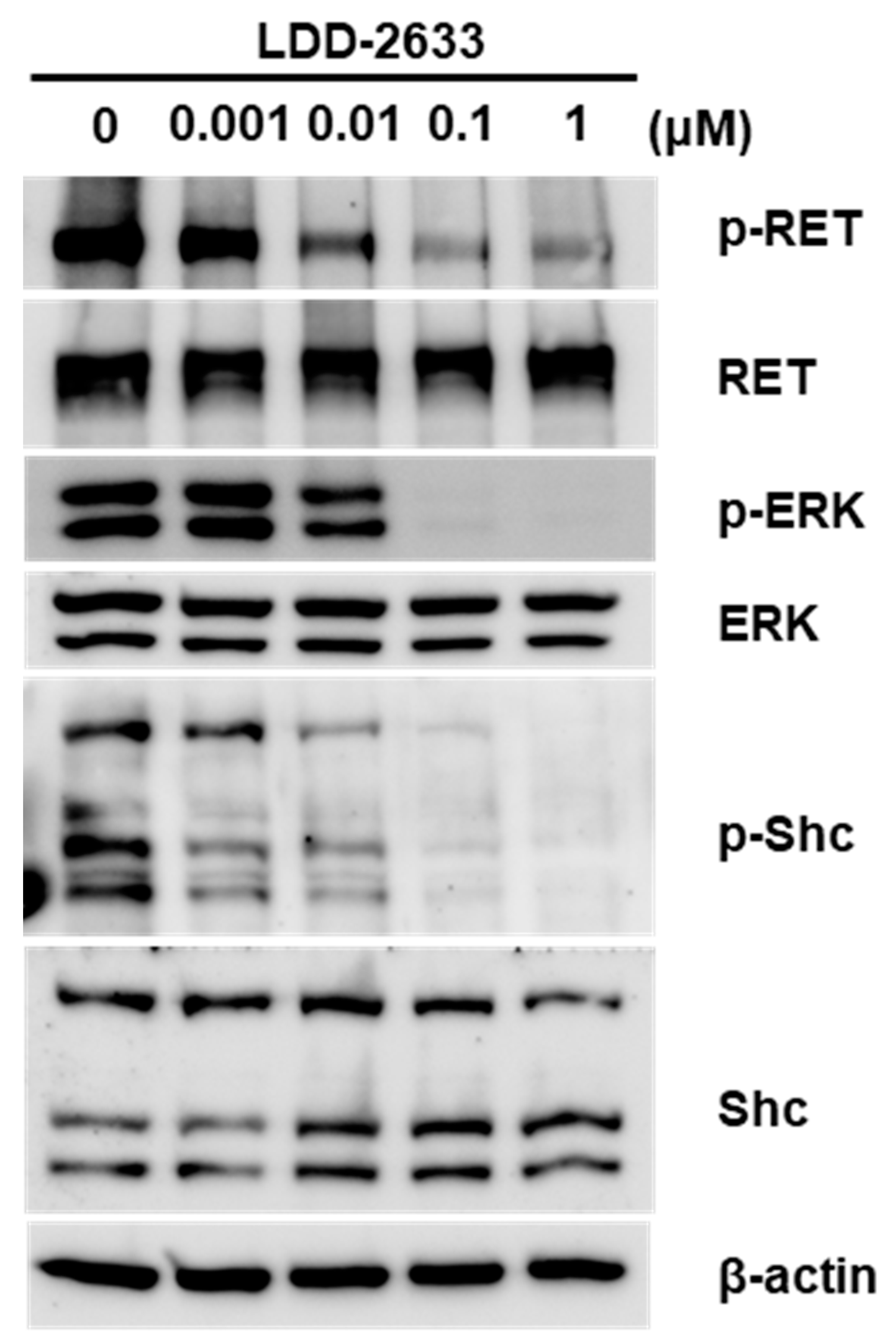 Pharmaceuticals 14 00038 g003 Pharmaceuticals 14 00038 g003