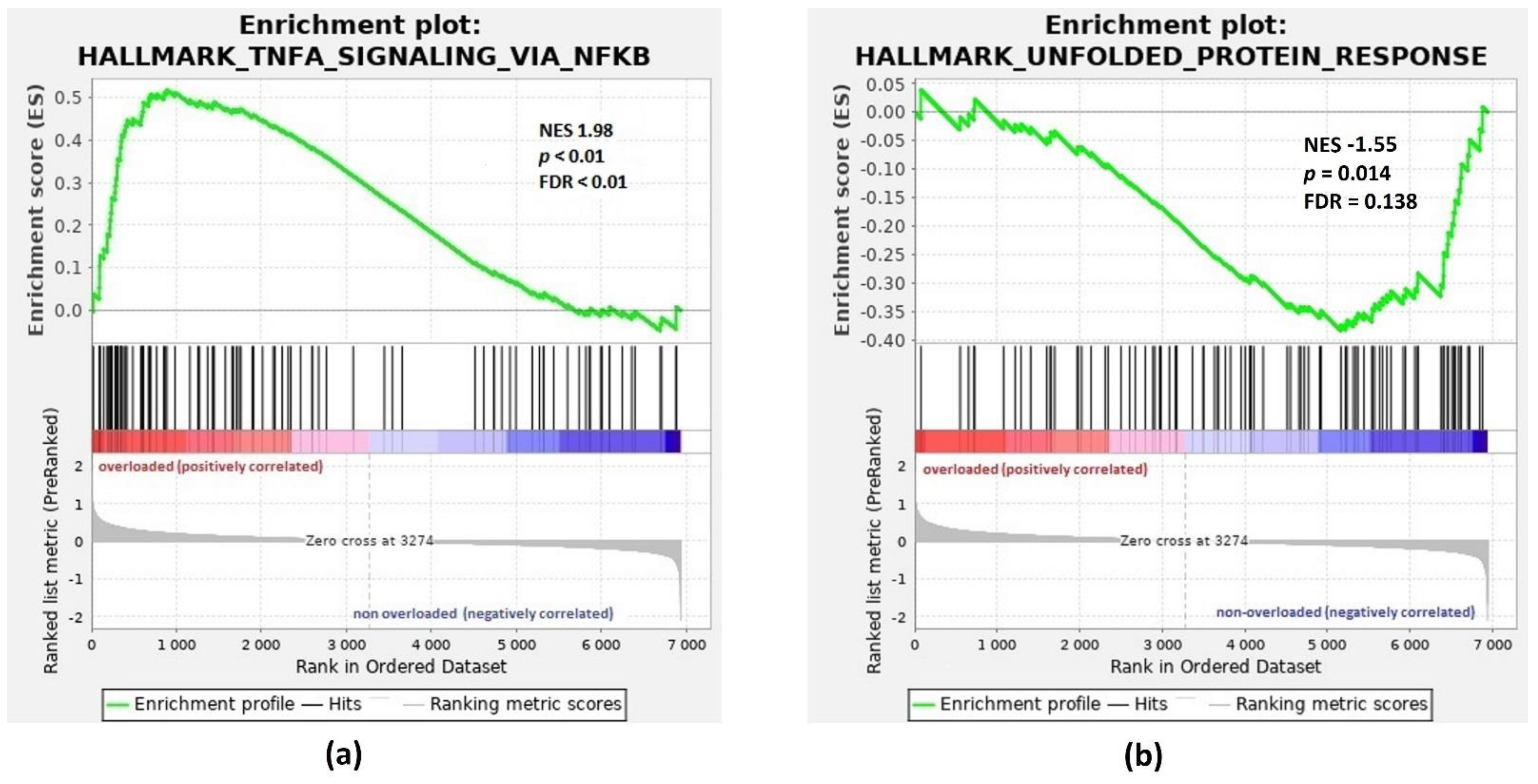 Pharmaceuticals 14 00041 g002 Pharmaceuticals 14 00041 g002