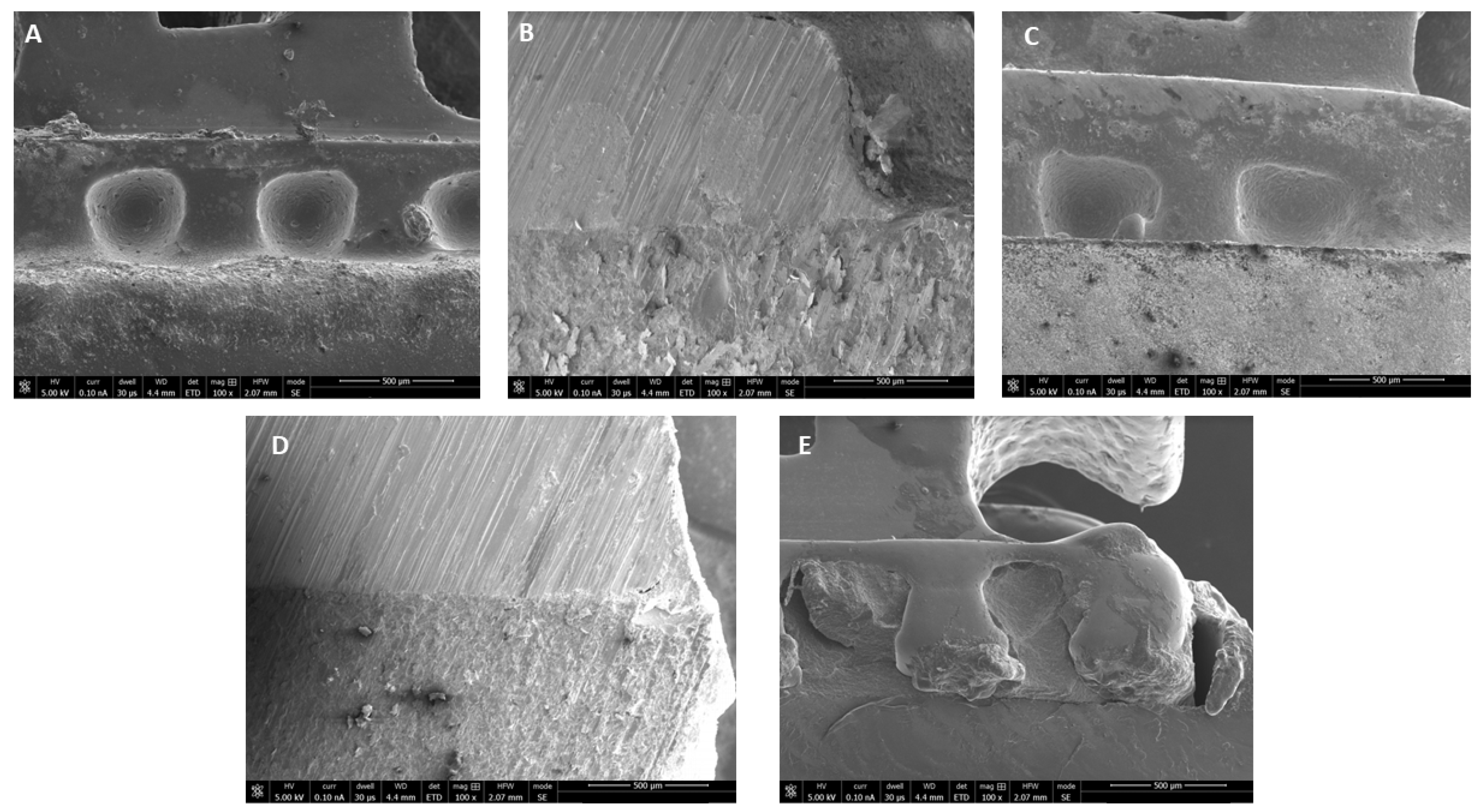 Pharmaceuticals 14 00048 g002 Pharmaceuticals 14 00048 g002