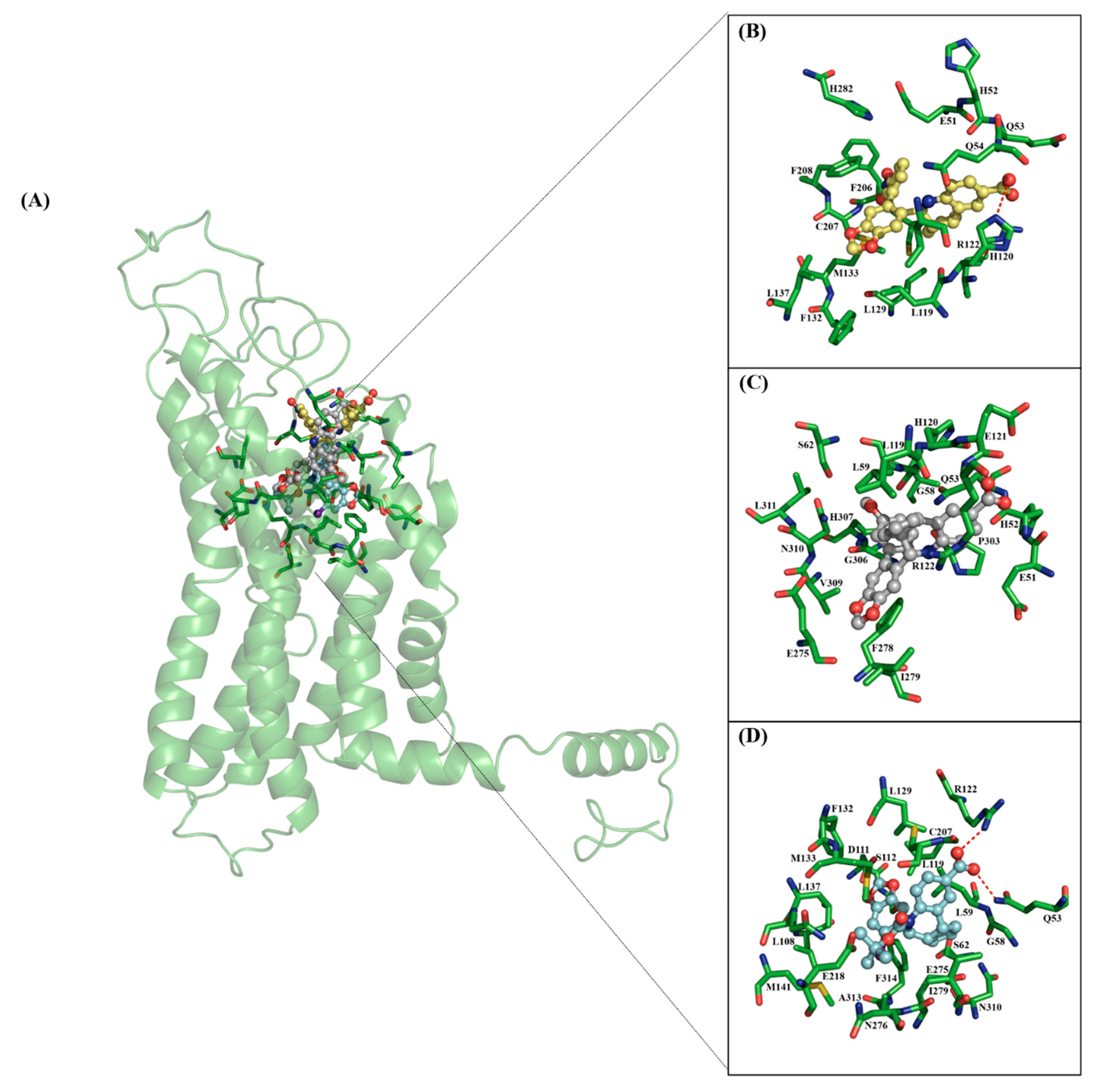 Pharmaceuticals 14 00049 g003 Pharmaceuticals 14 00049 g003