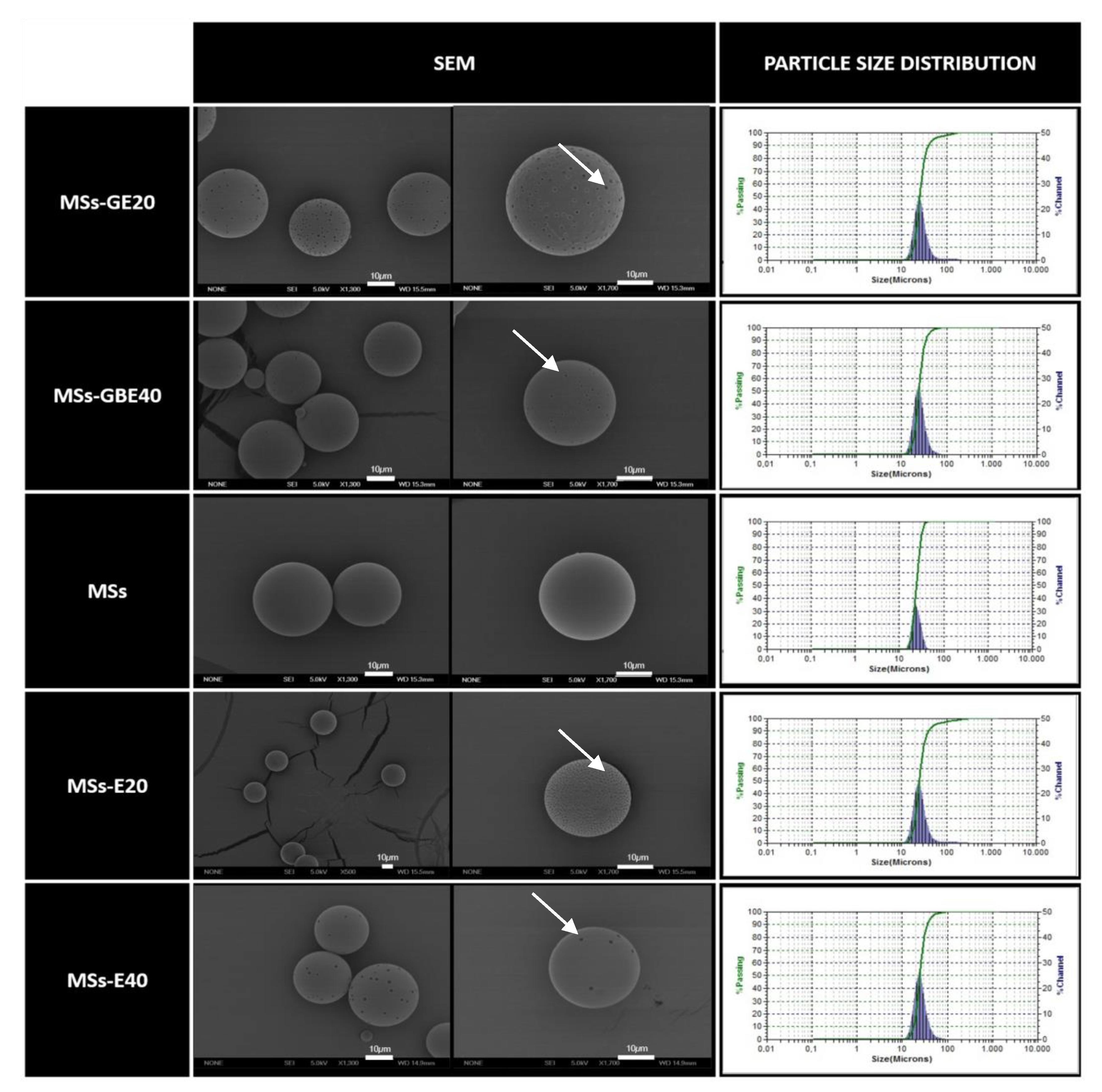 Pharmaceuticals Free Full Text A Safe Gdnf And Gdnf nf Controlled Delivery System Improves Migration In Human Retinal Pigment Epithelial Cells And Survival In Retinal Ganglion Cells Potential Usefulness In Degenerative Retinal Pharmaceuticals Free Full Text A Safe Gdnf And Gdnf nf Controlled Delivery System Improves Migration In Human Retinal Pigment Epithelial Cells And Survival In Retinal Ganglion Cells Potential Usefulness In Degenerative Retinal