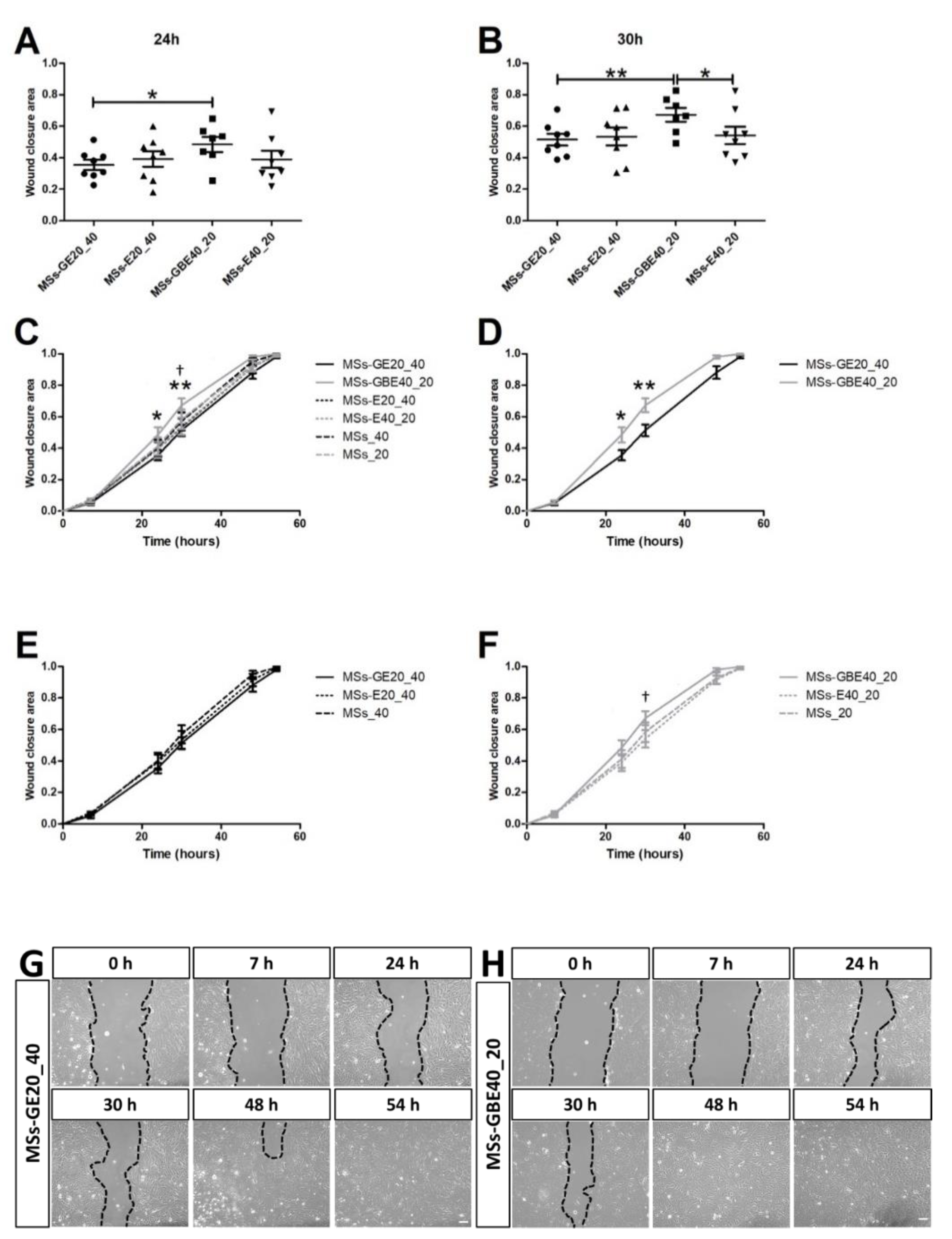 Pharmaceuticals 14 00050 g004 Pharmaceuticals 14 00050 g004