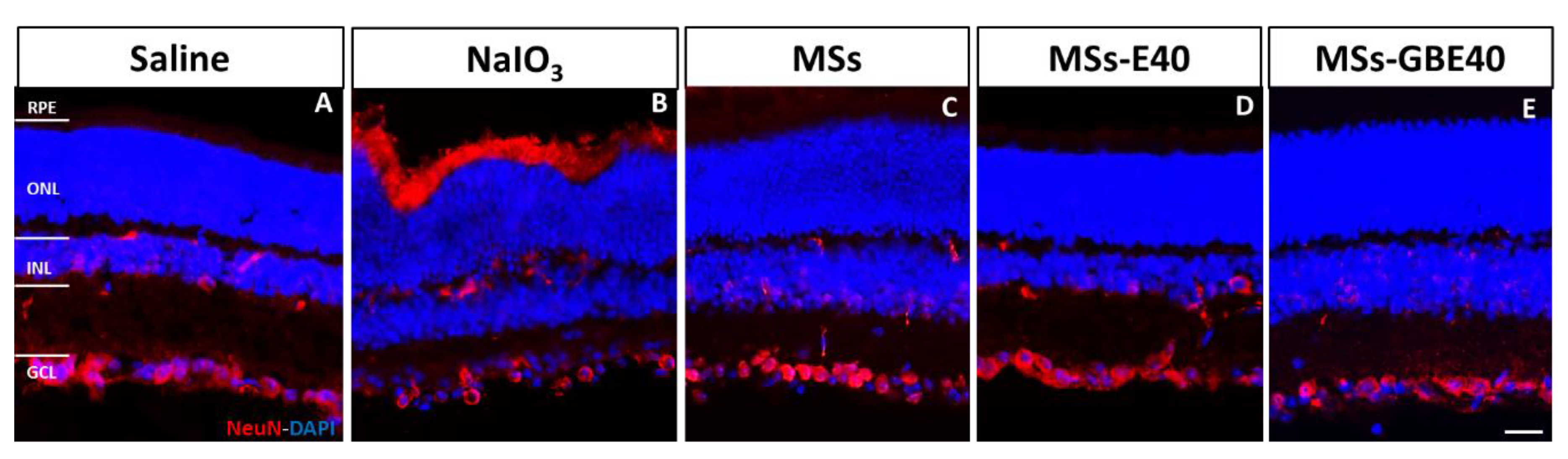 Pharmaceuticals 14 00050 g007 Pharmaceuticals 14 00050 g007