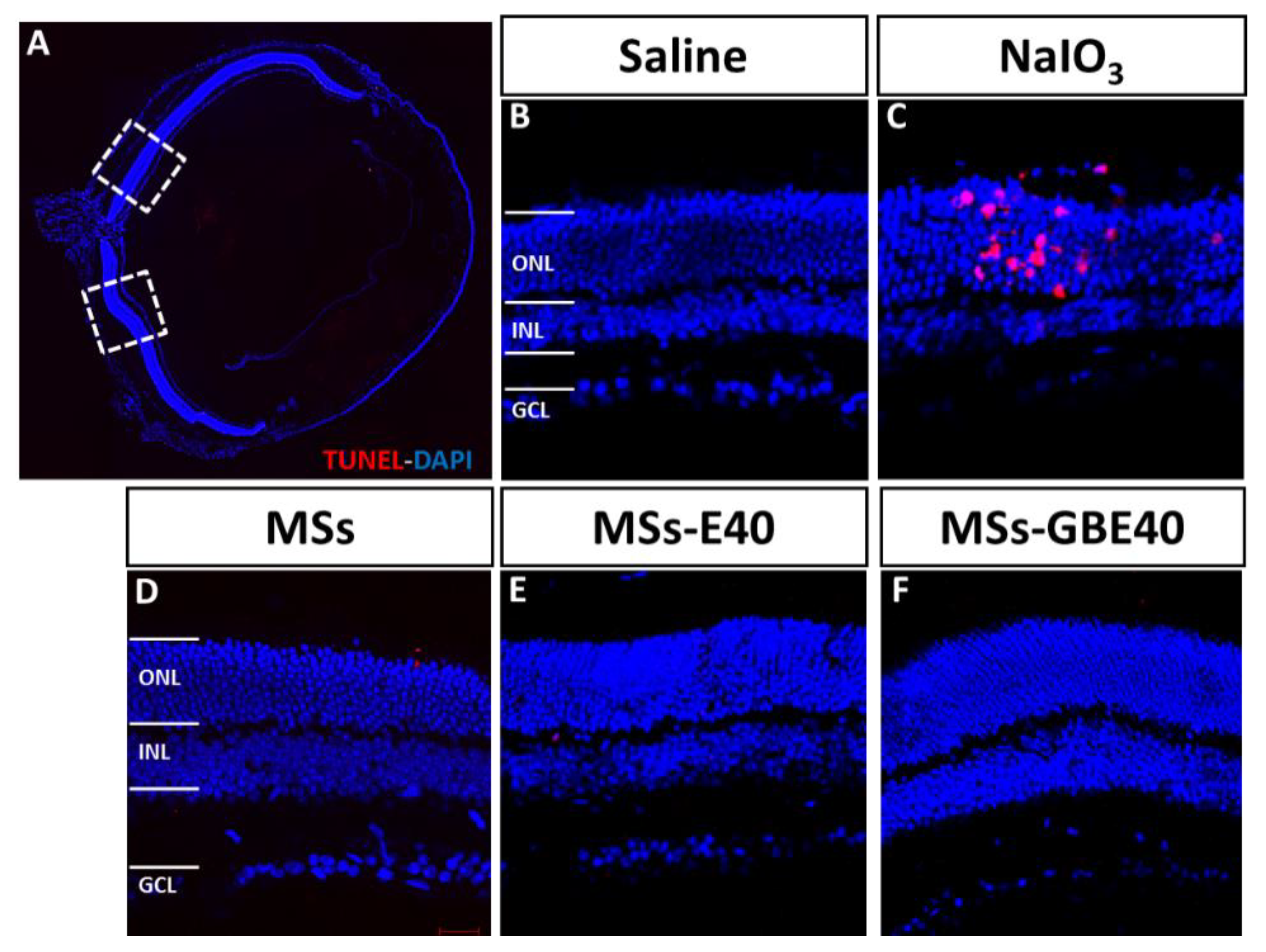 Pharmaceuticals 14 00050 g008 Pharmaceuticals 14 00050 g008