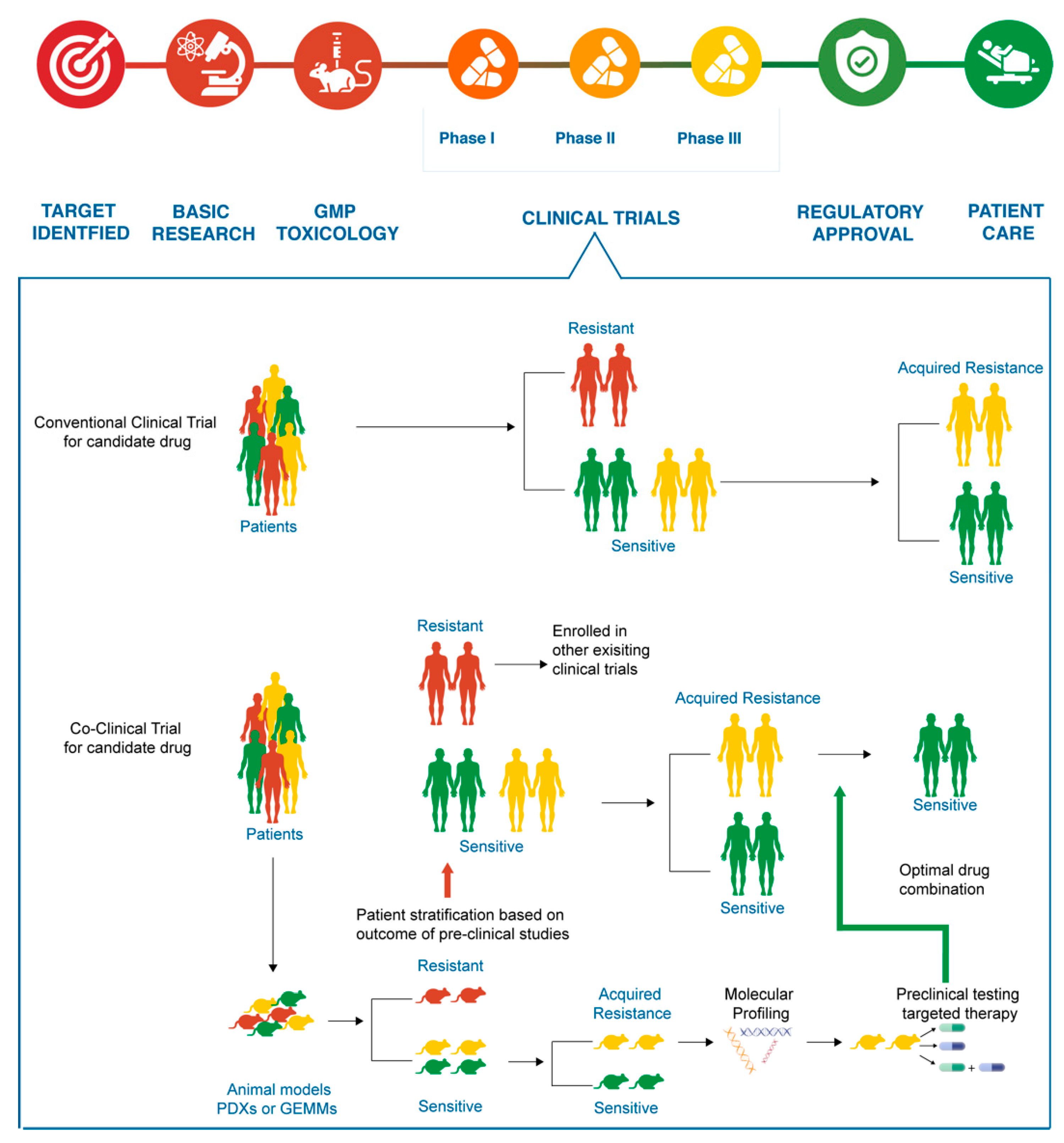 Pharmaceuticals 14 00051 g001