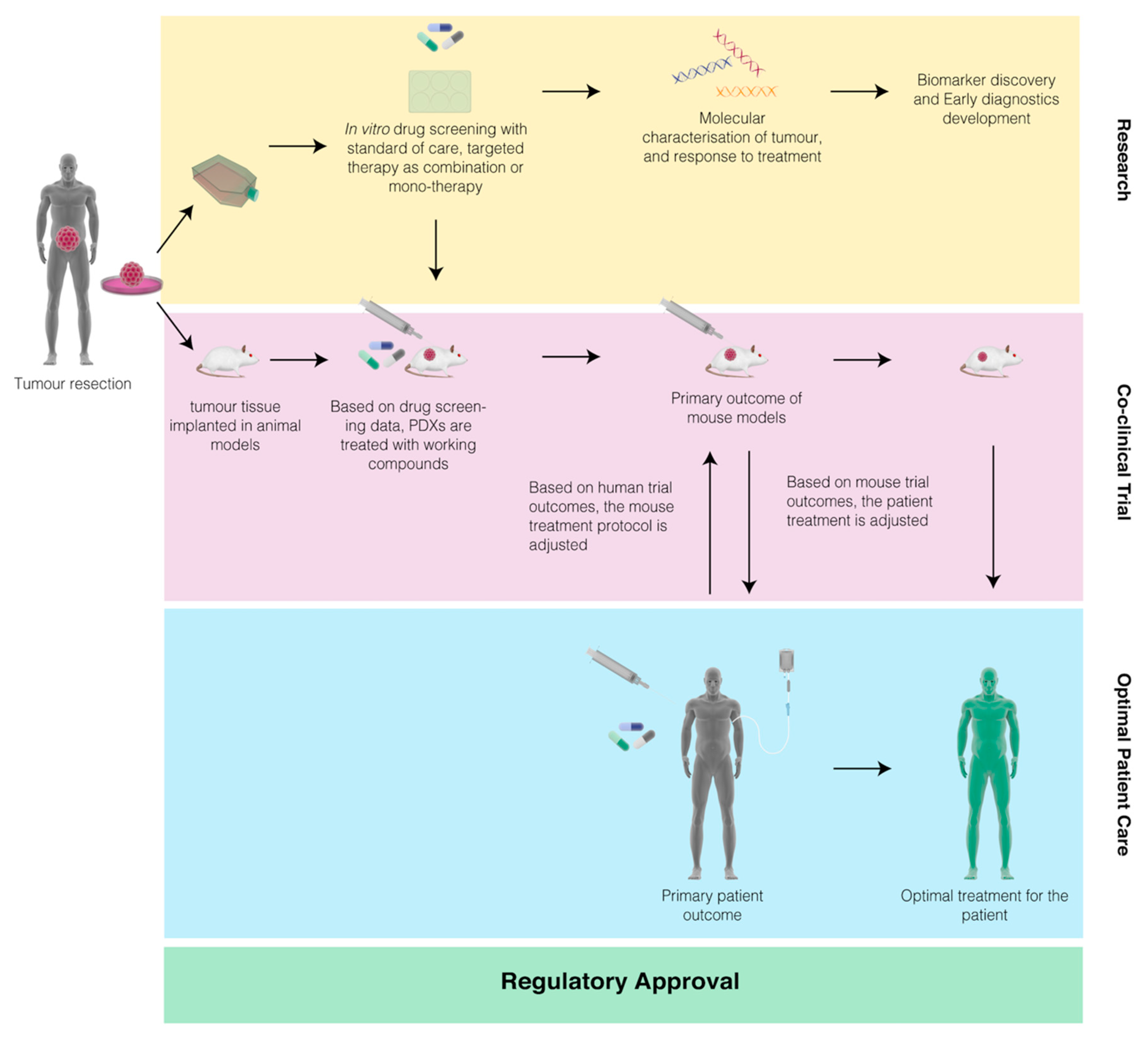 Pharmaceuticals 14 00051 g002