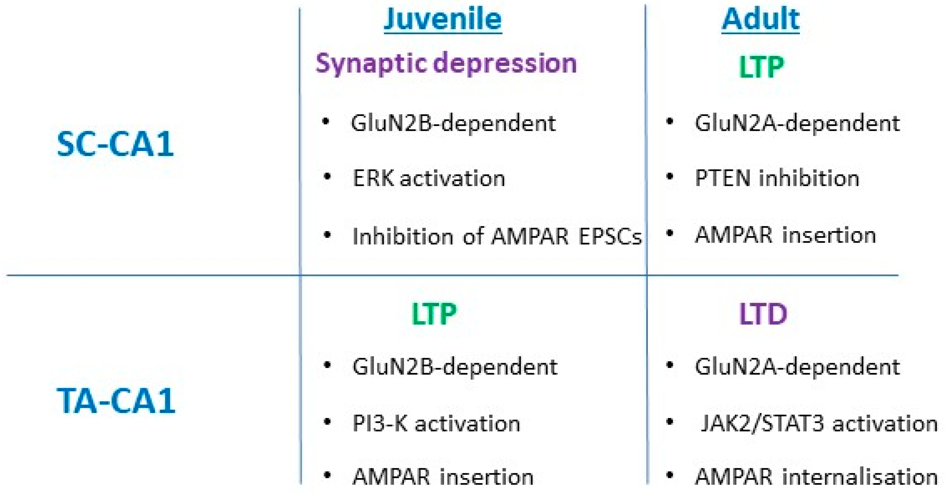 Pharmaceuticals 14 00052 g002 Pharmaceuticals 14 00052 g002