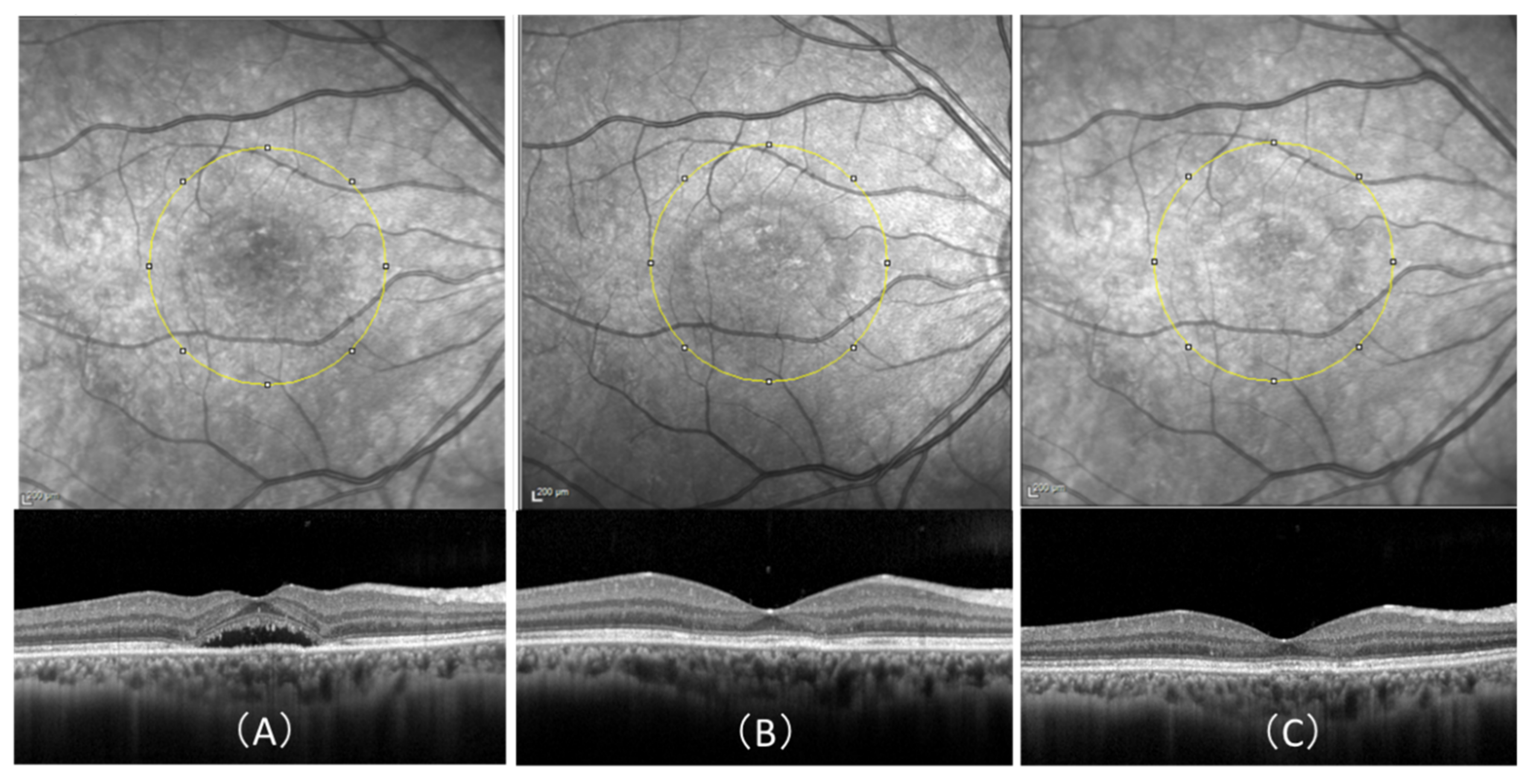 Pharmaceuticals 14 00053 g003