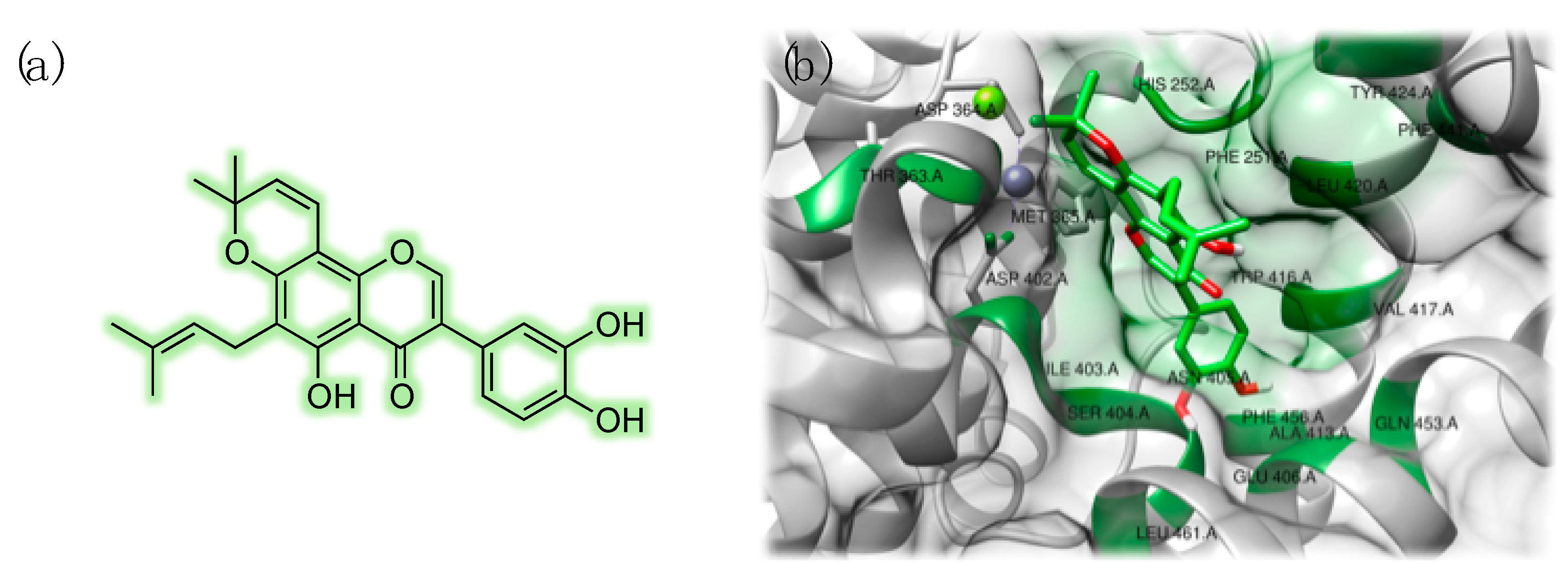 Pharmaceuticals 14 00058 g005 Pharmaceuticals 14 00058 g005