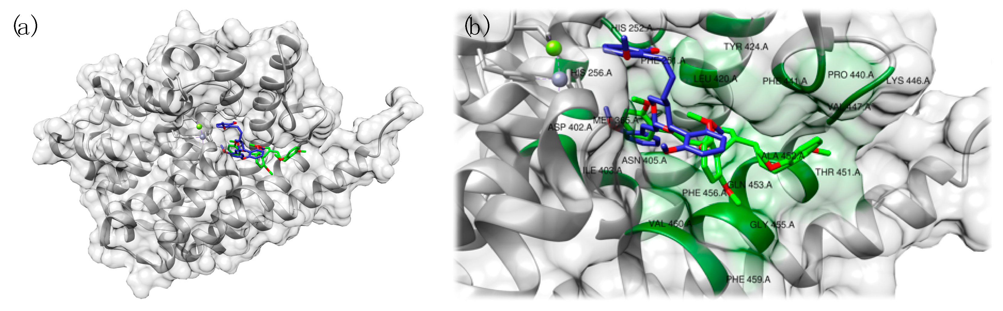 Pharmaceuticals 14 00058 g011 Pharmaceuticals 14 00058 g011