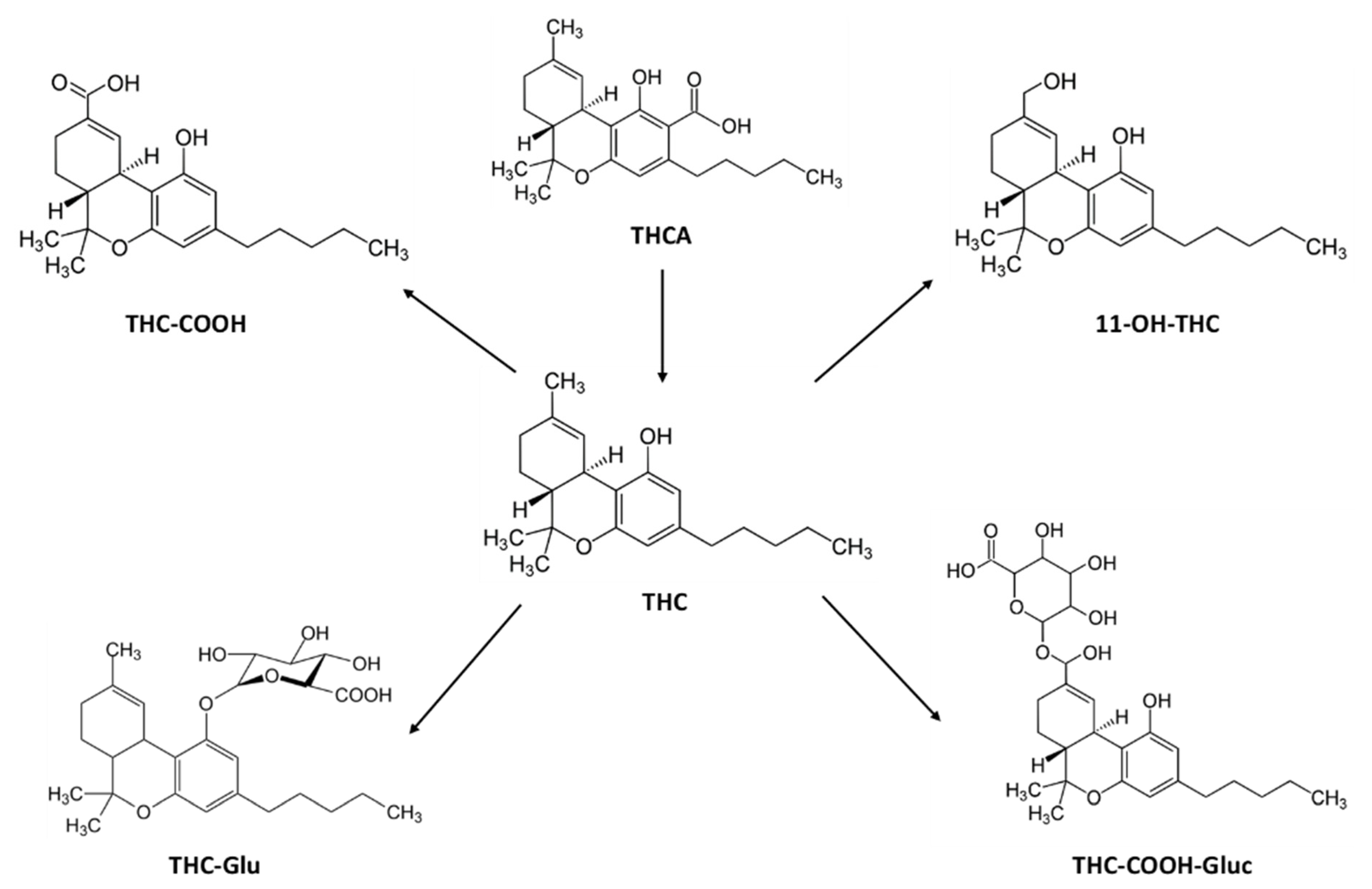 Pharmaceuticals 14 00059 g001 Pharmaceuticals 14 00059 g001