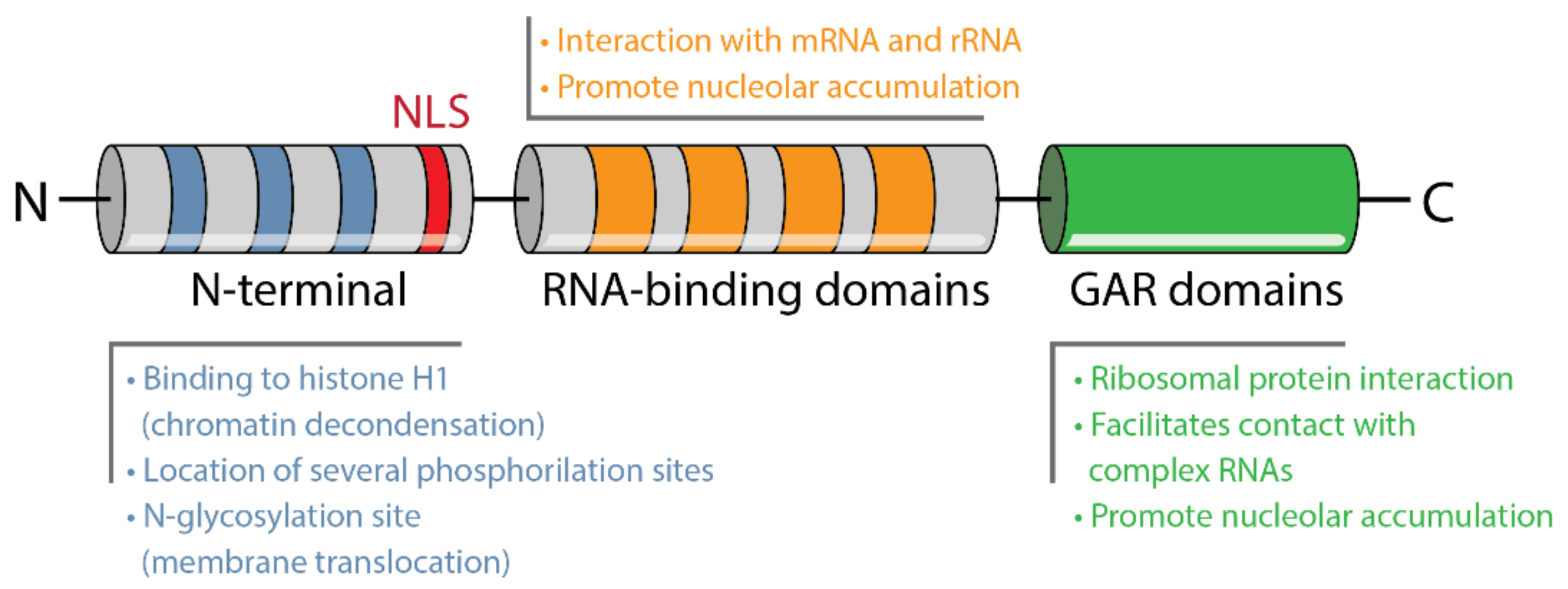Pharmaceuticals 14 00060 g004 Pharmaceuticals 14 00060 g004