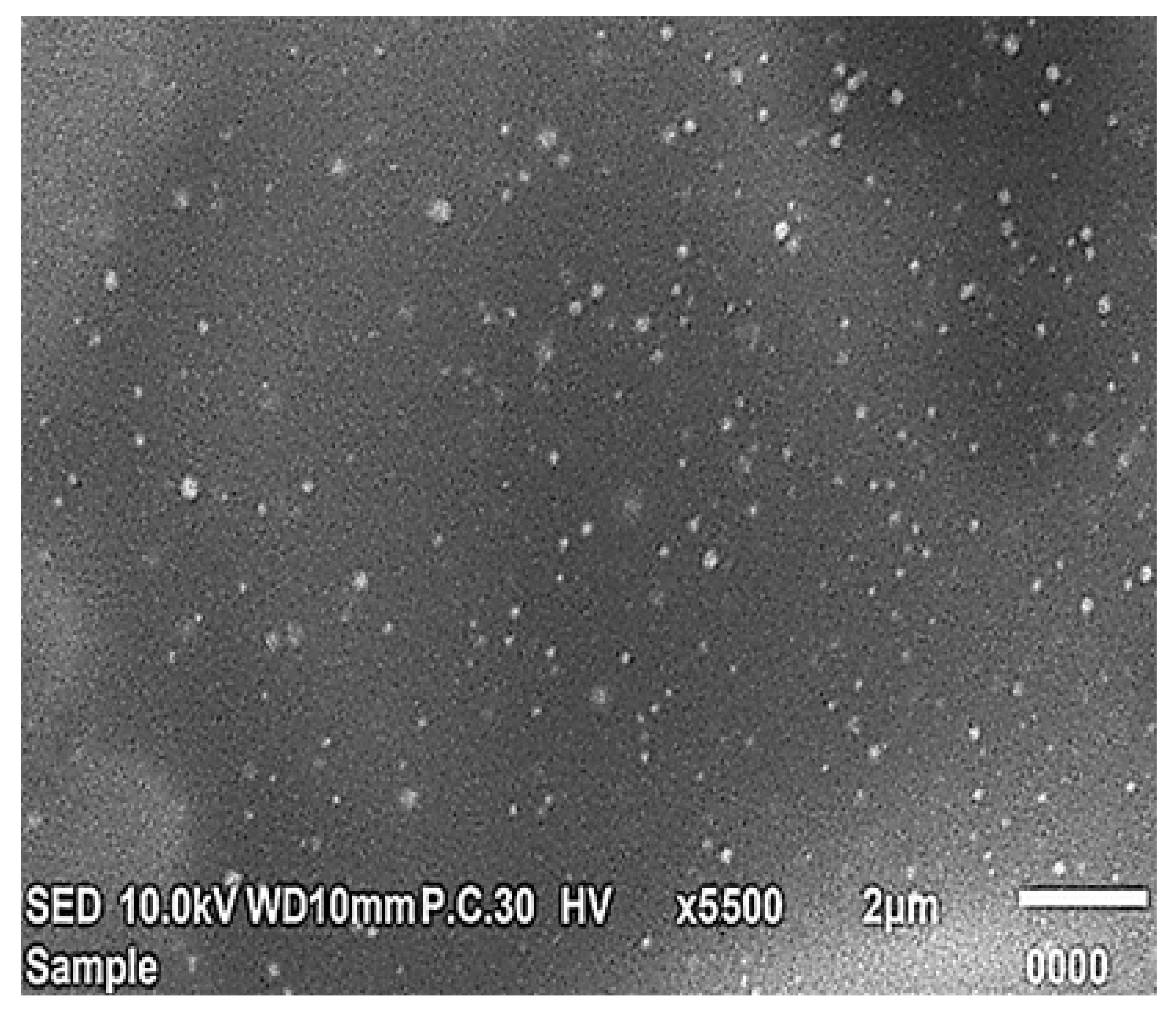 Pharmaceuticals 14 00068 g011