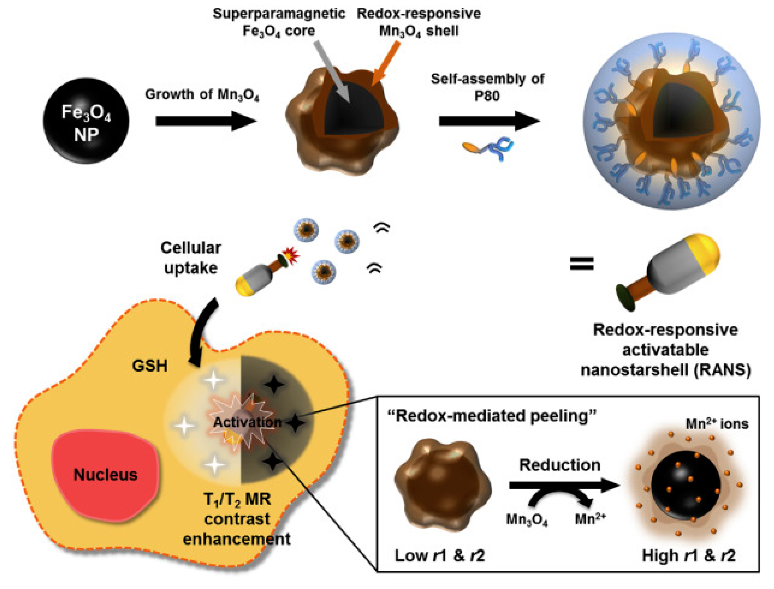 Pharmaceuticals 14 00069 g001 Pharmaceuticals 14 00069 g001