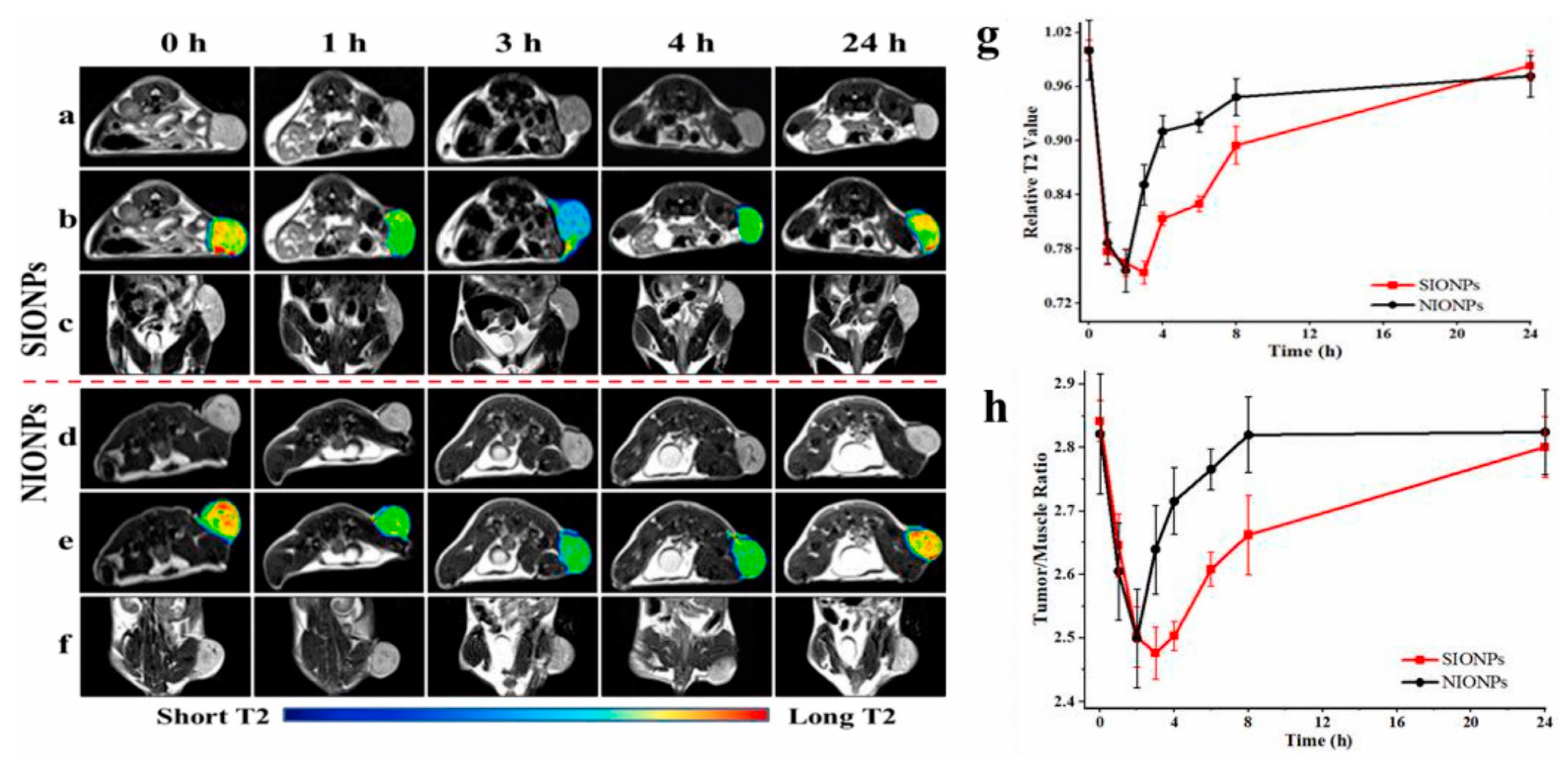 Pharmaceuticals 14 00069 g002 Pharmaceuticals 14 00069 g002