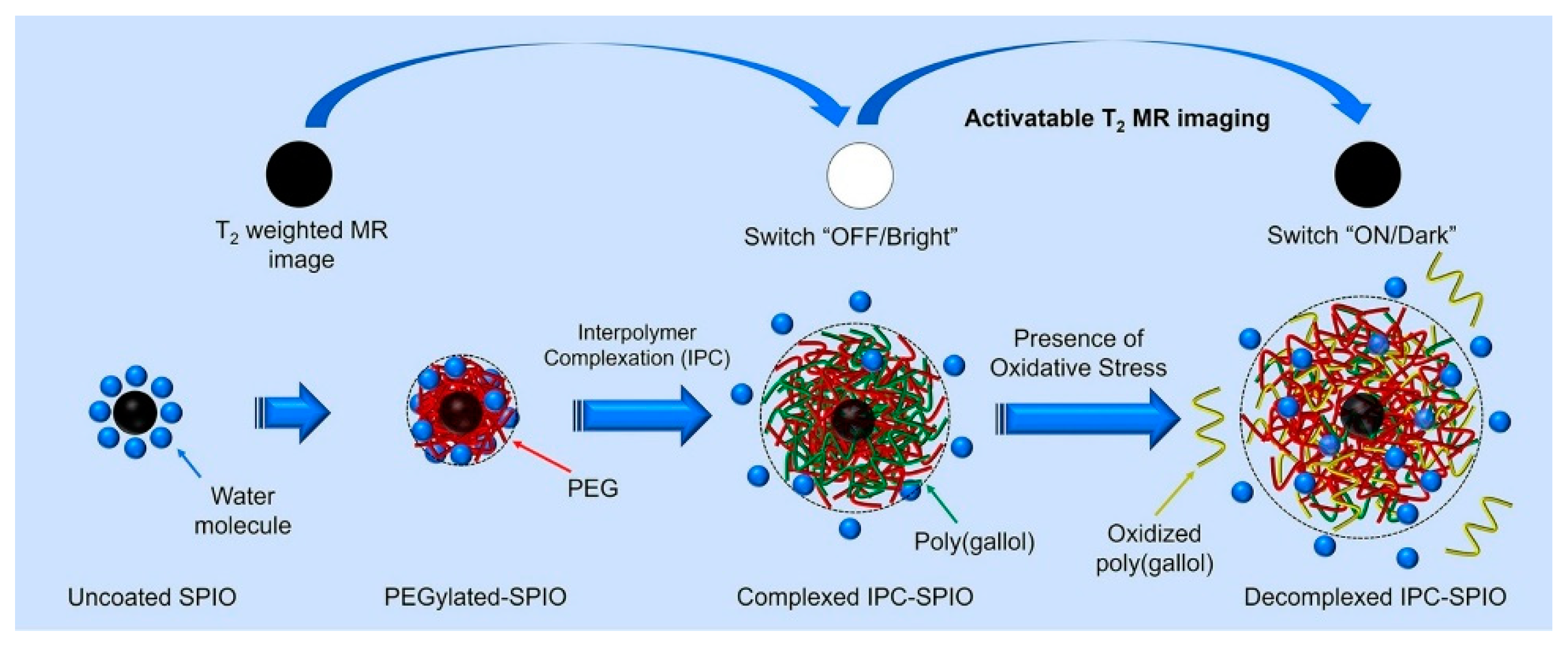Pharmaceuticals 14 00069 g004 Pharmaceuticals 14 00069 g004