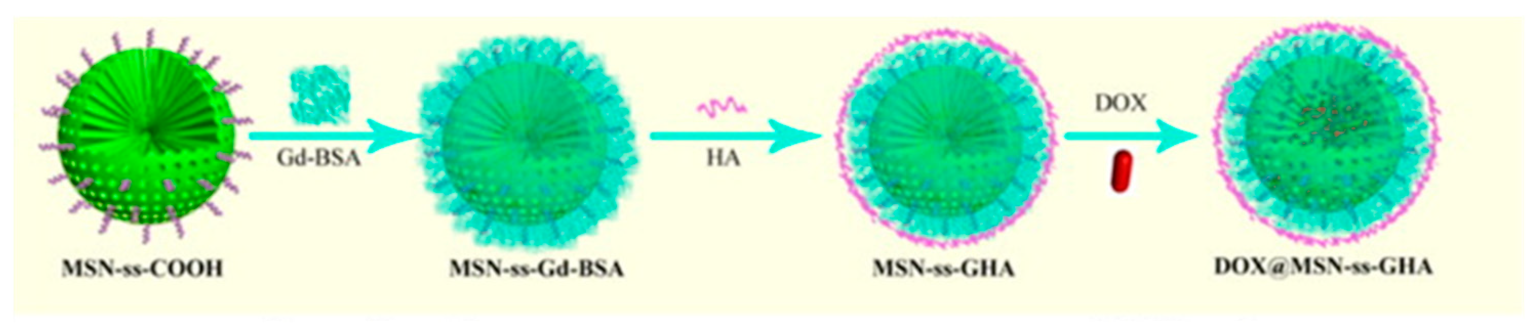Pharmaceuticals 14 00069 g005 Pharmaceuticals 14 00069 g005