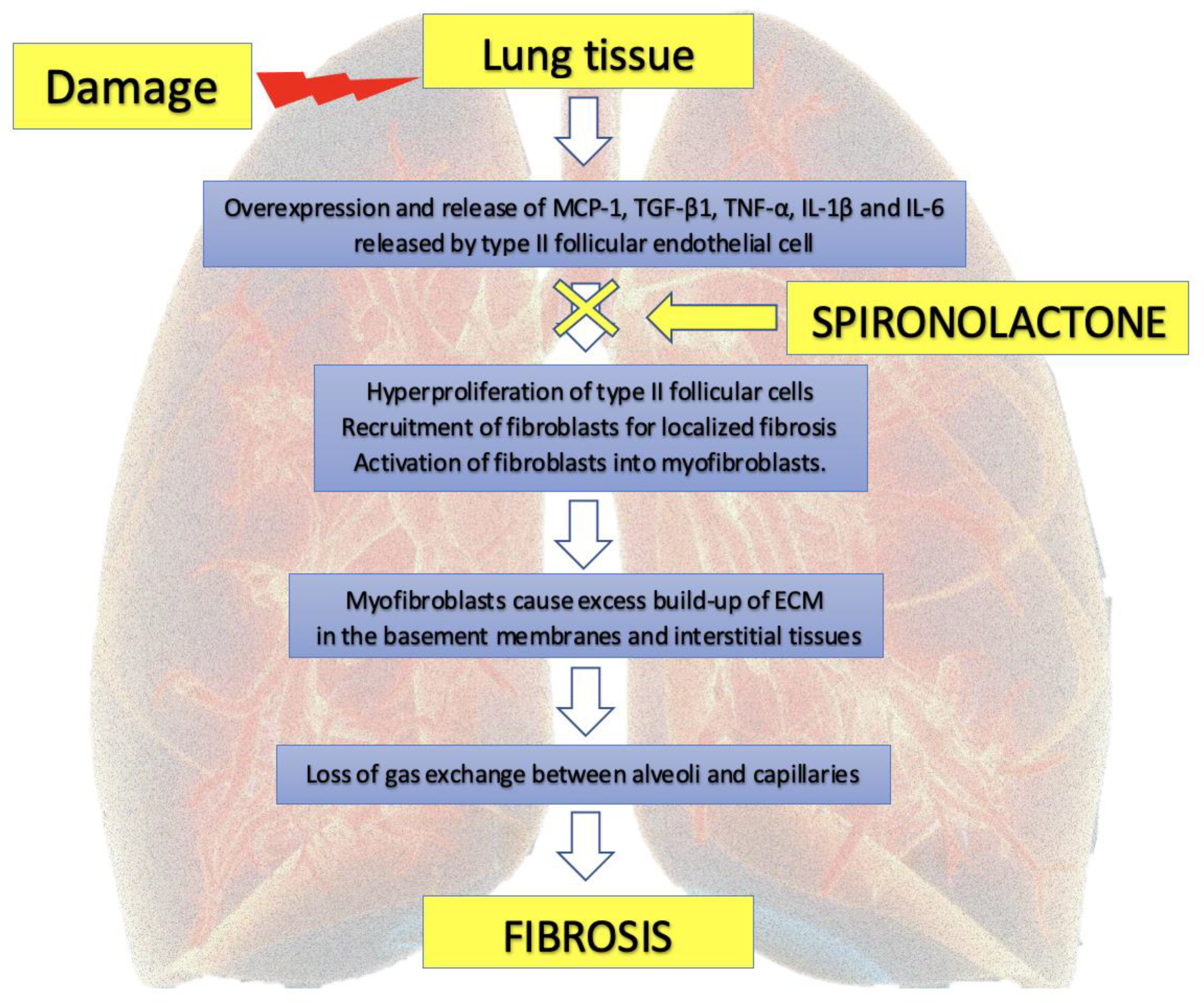 Pharmaceuticals 14 00071 g003 Pharmaceuticals 14 00071 g003