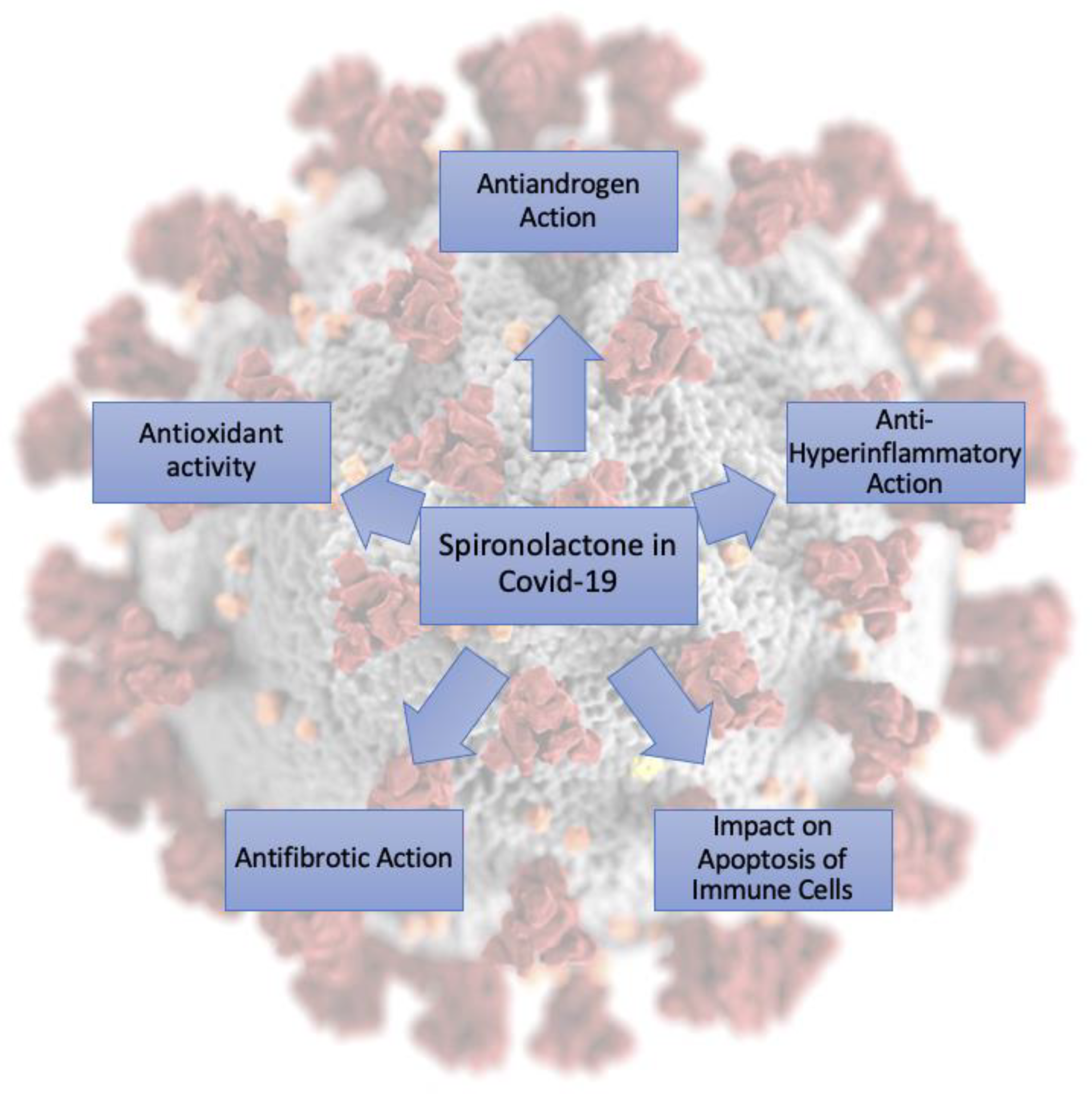 Pharmaceuticals 14 00071 g004 Pharmaceuticals 14 00071 g004