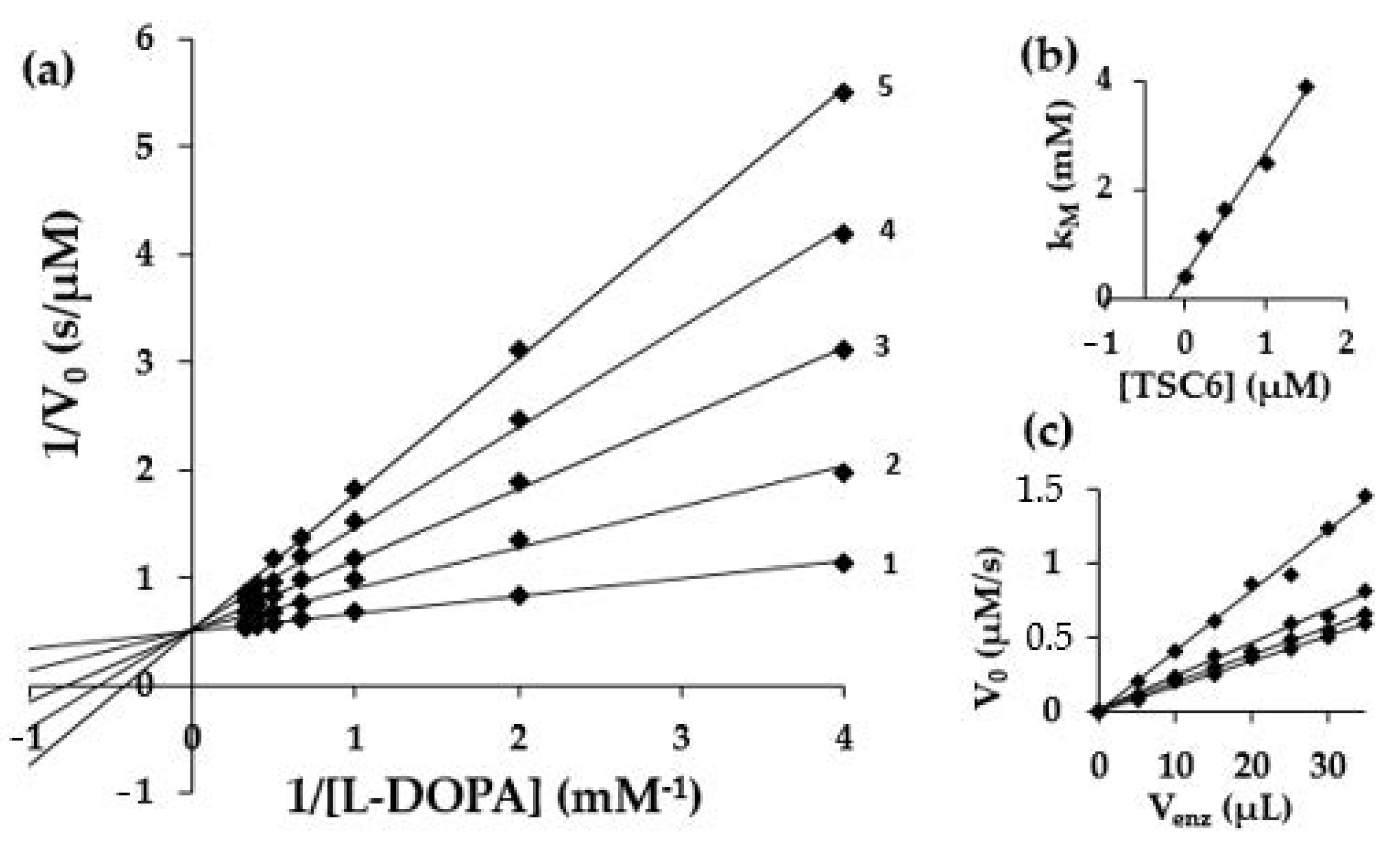 Pharmaceuticals 14 00074 g004 Pharmaceuticals 14 00074 g004