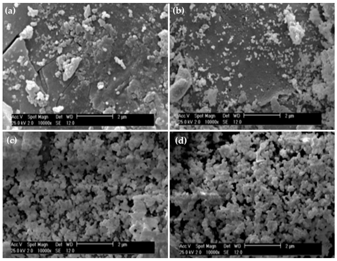 Pharmaceuticals 14 00075 g002 Pharmaceuticals 14 00075 g002