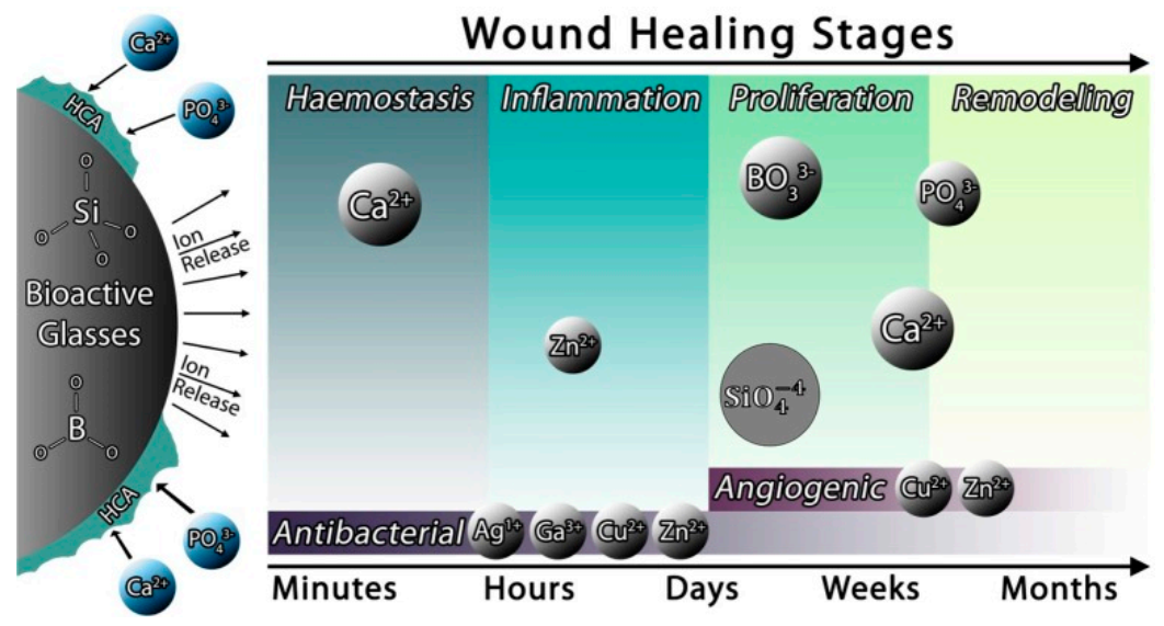 Pharmaceuticals 14 00075 g006 Pharmaceuticals 14 00075 g006