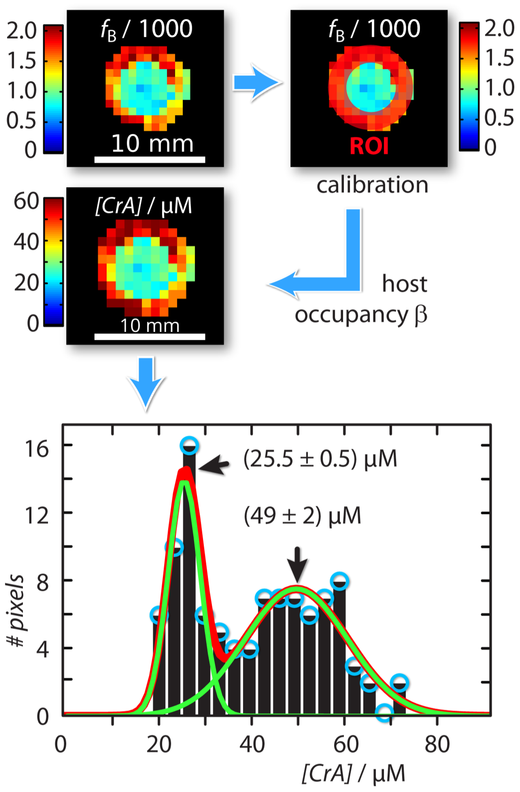 Pharmaceuticals 14 00079 g003 Pharmaceuticals 14 00079 g003