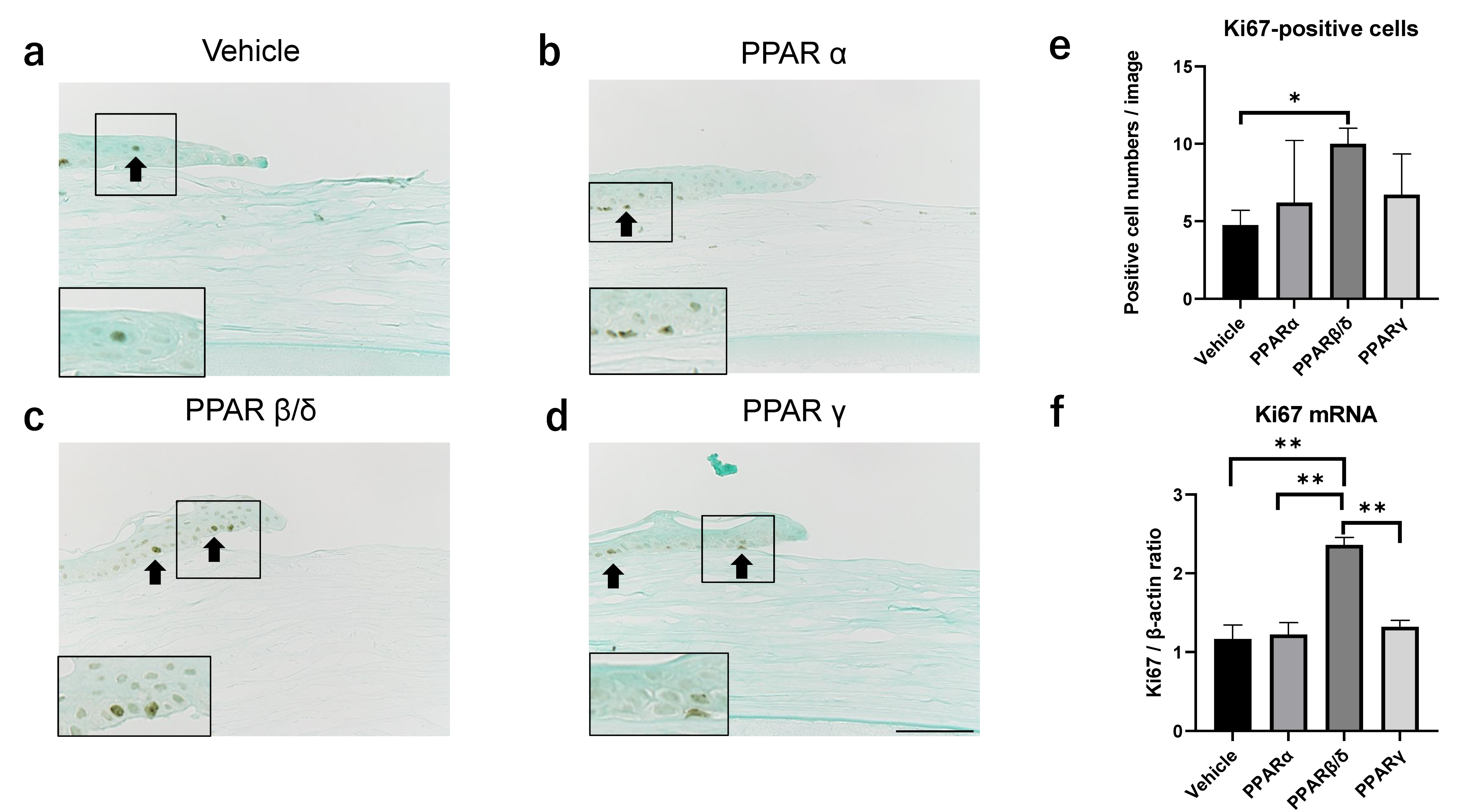 Pharmaceuticals 14 00088 g003 Pharmaceuticals 14 00088 g003