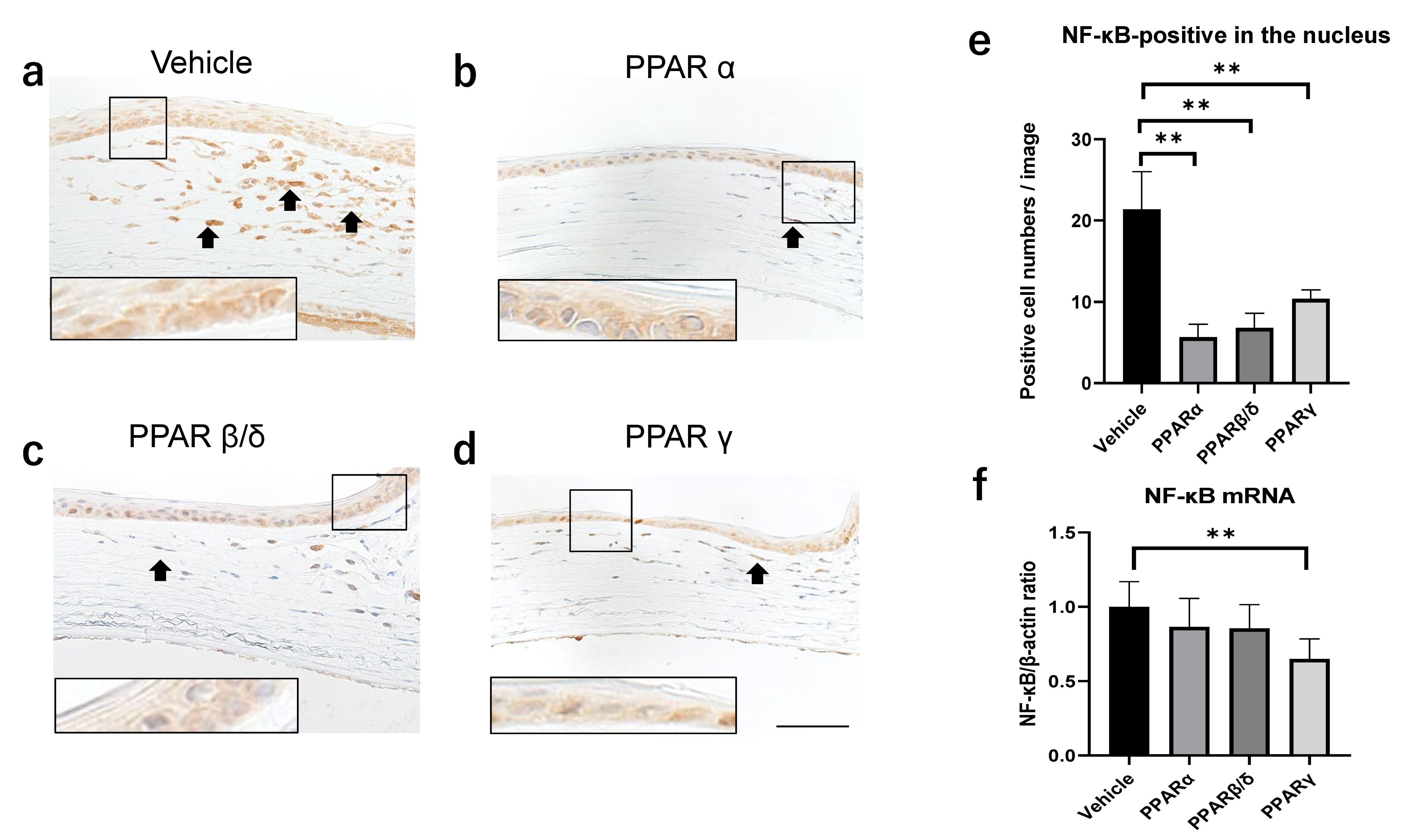 Pharmaceuticals 14 00088 g004 Pharmaceuticals 14 00088 g004
