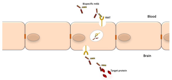 Pharmaceuticals 14 00092 g003 550
