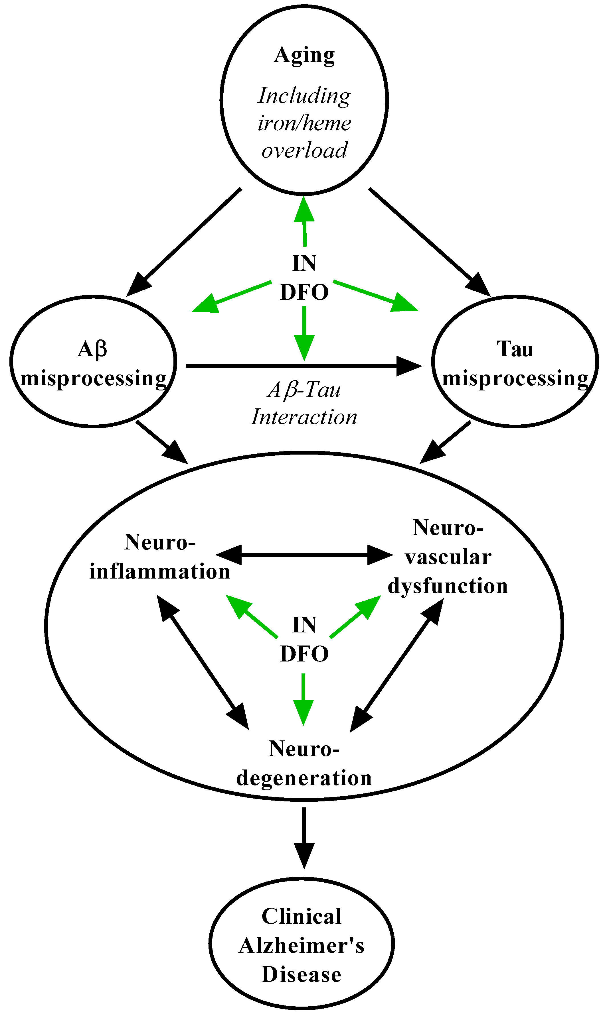 Pharmaceuticals 14 00095 g002