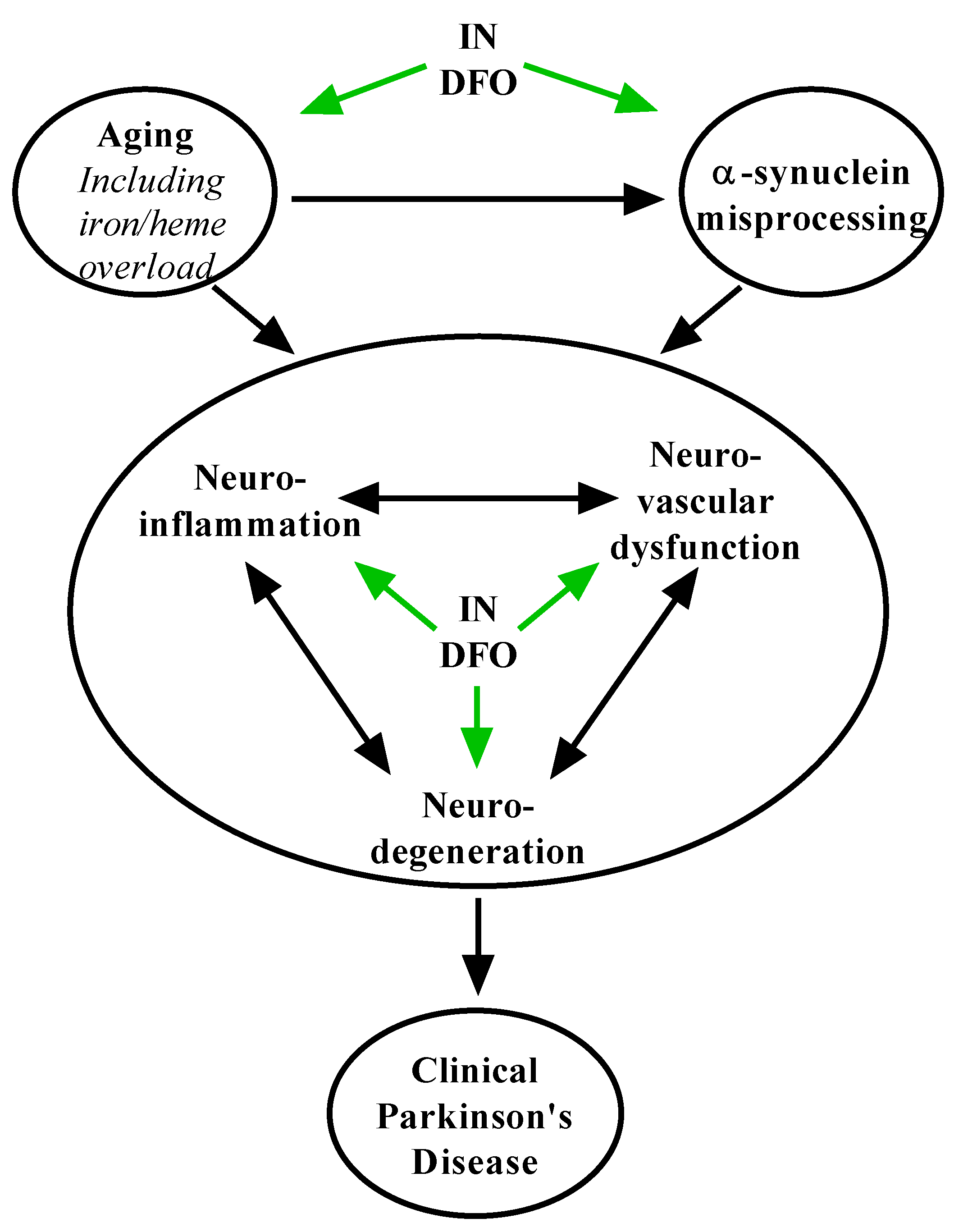 Pharmaceuticals 14 00095 g003