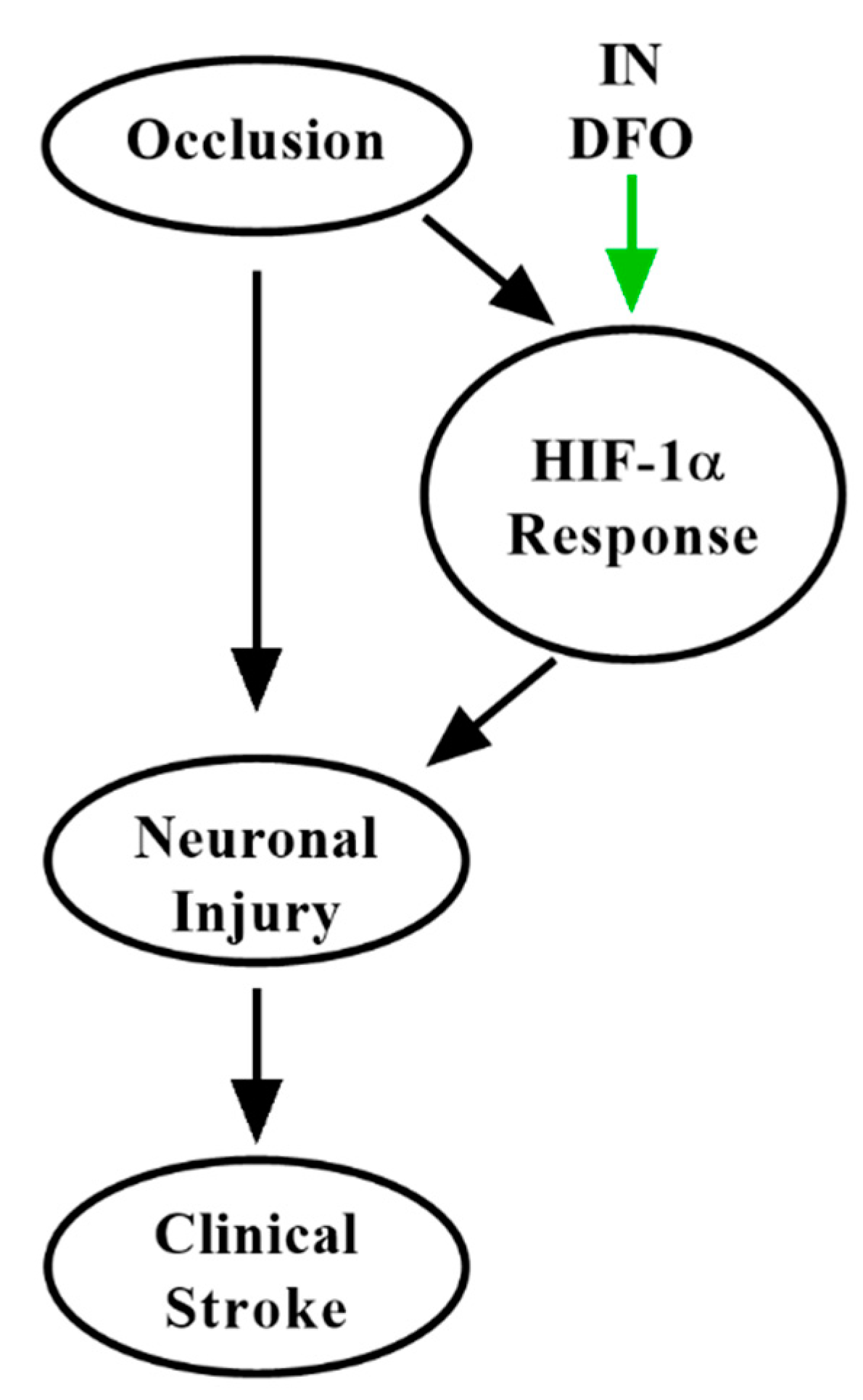 Pharmaceuticals 14 00095 g004