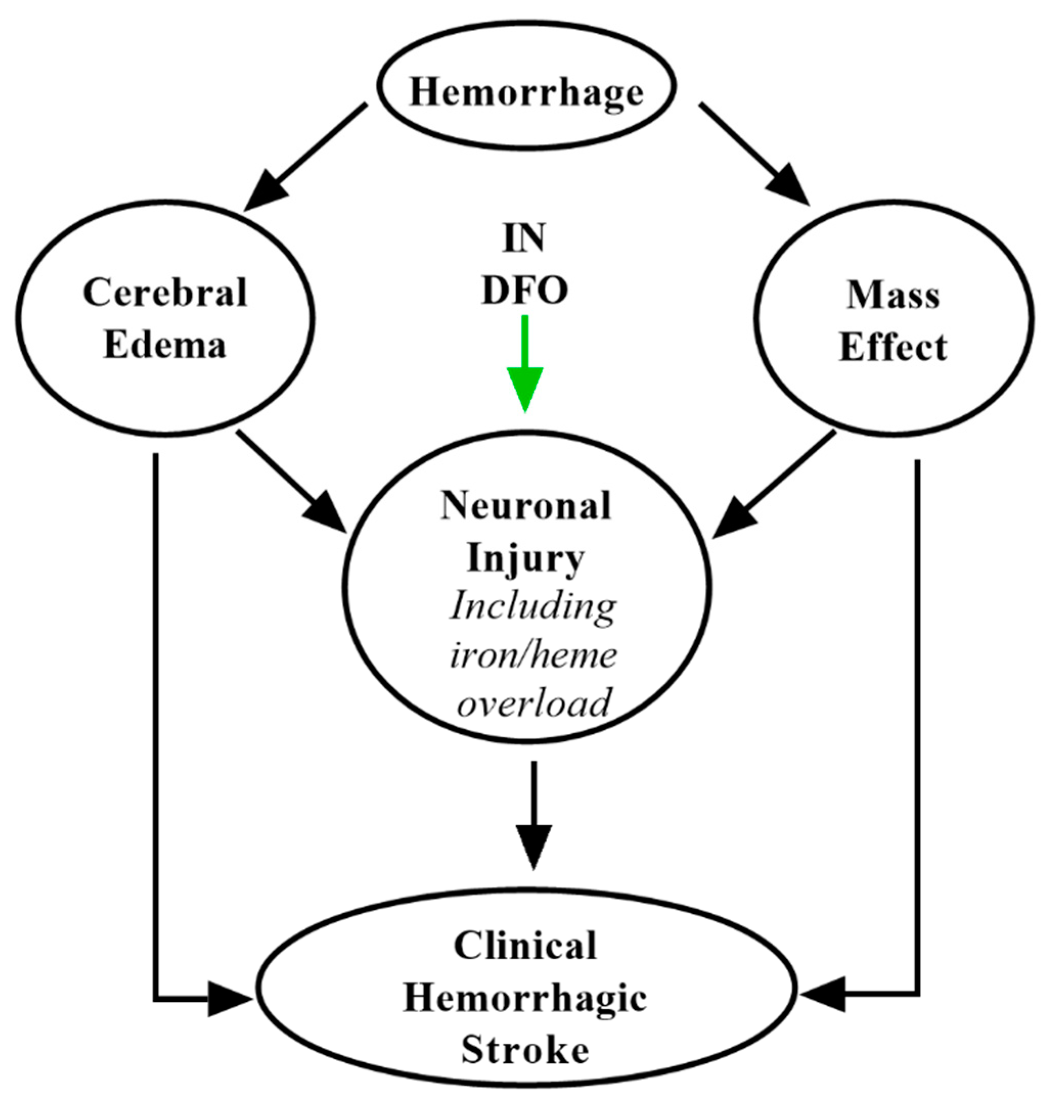 Pharmaceuticals 14 00095 g005