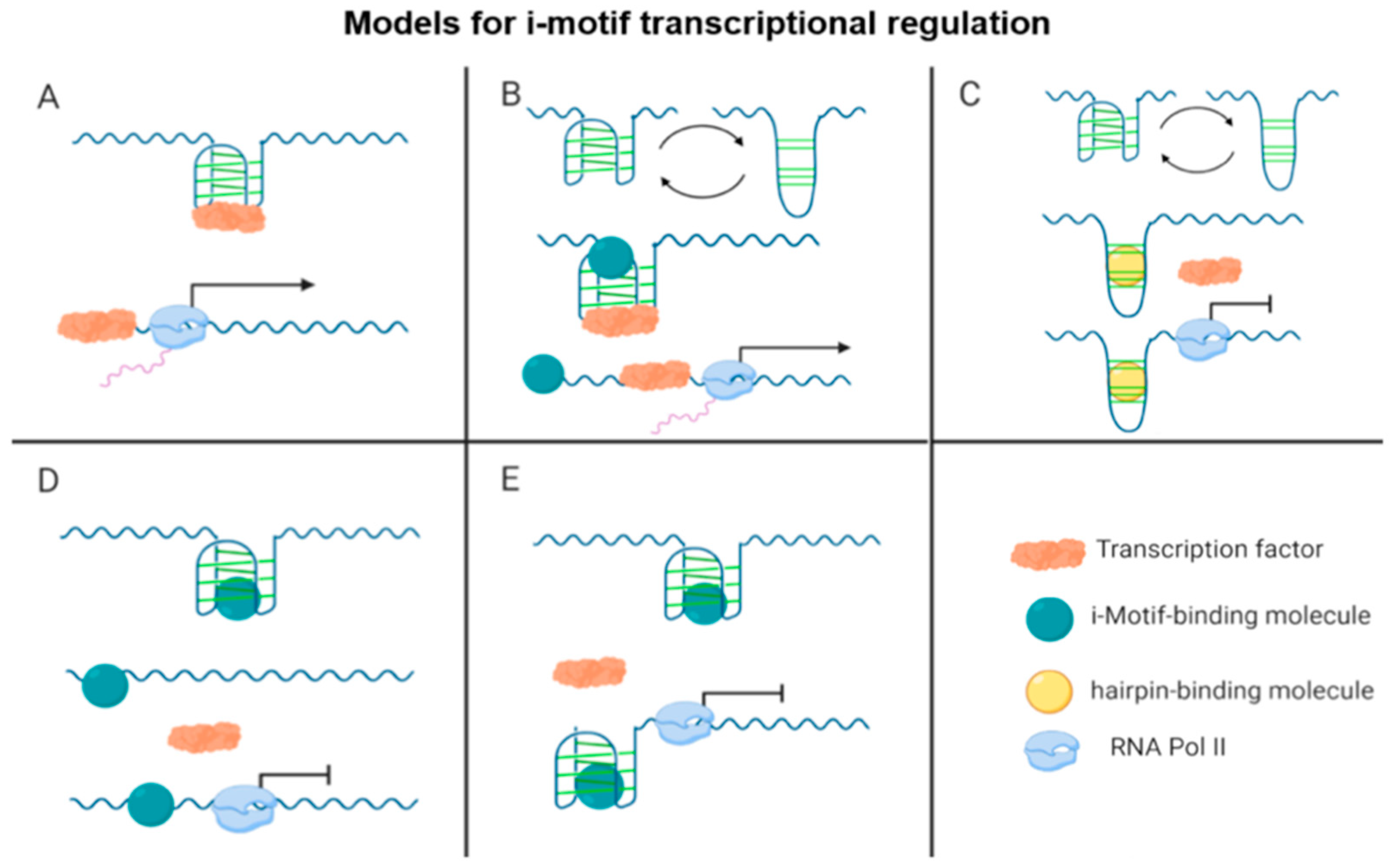 Pharmaceuticals 14 00096 g002 Pharmaceuticals 14 00096 g002