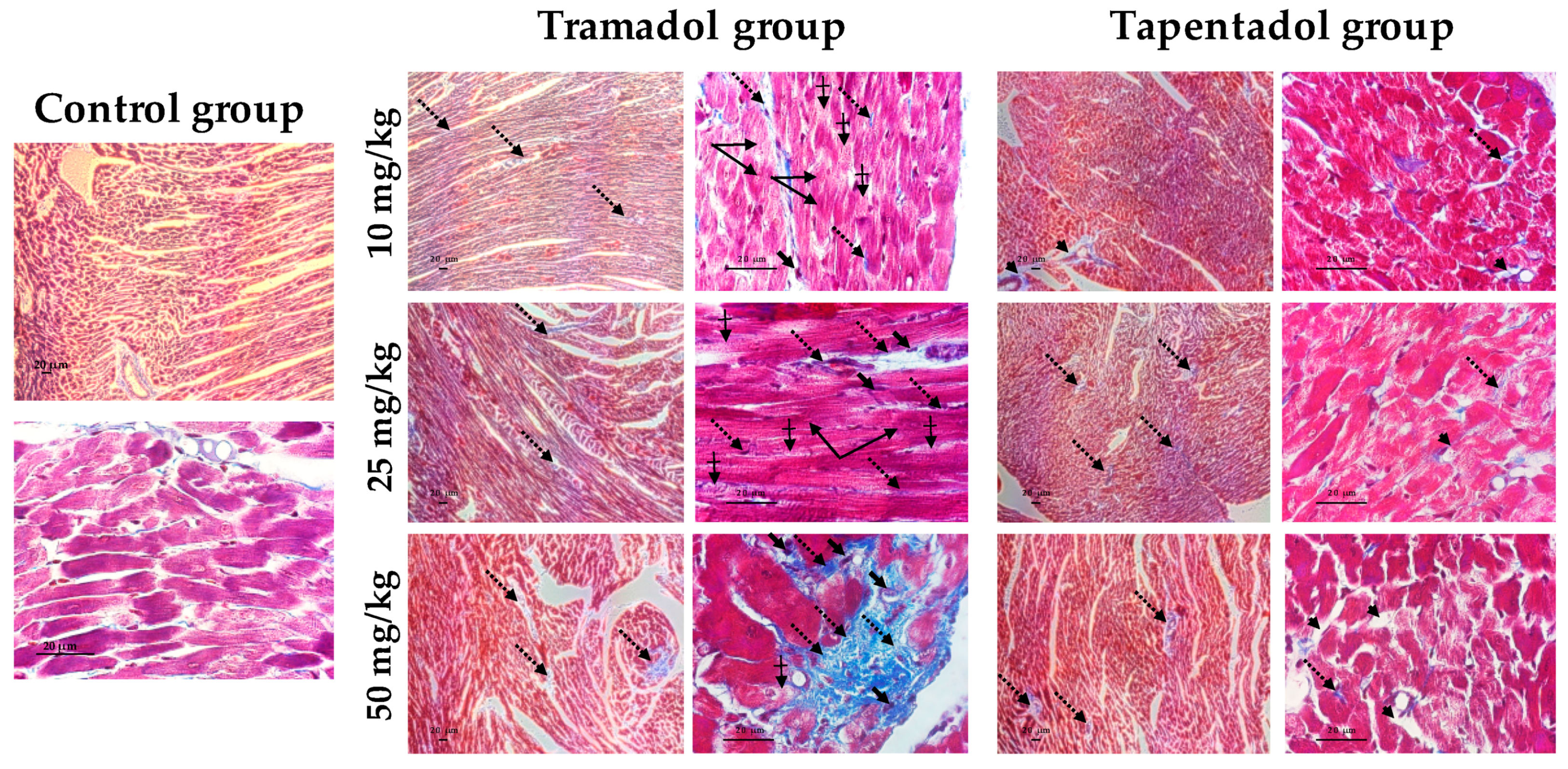 Pharmaceuticals 14 00097 g007 Pharmaceuticals 14 00097 g007