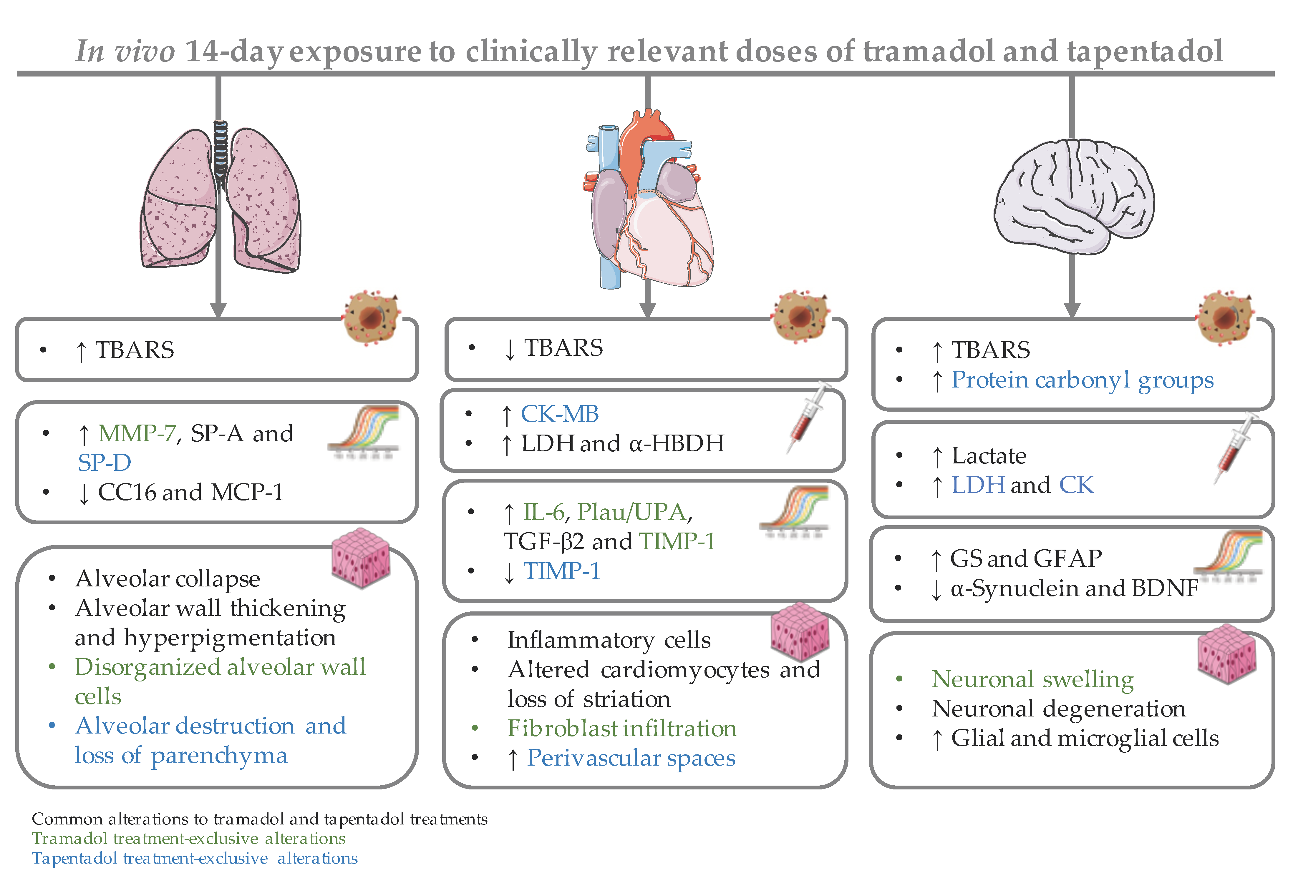 Pharmaceuticals 14 00097 g009 Pharmaceuticals 14 00097 g009