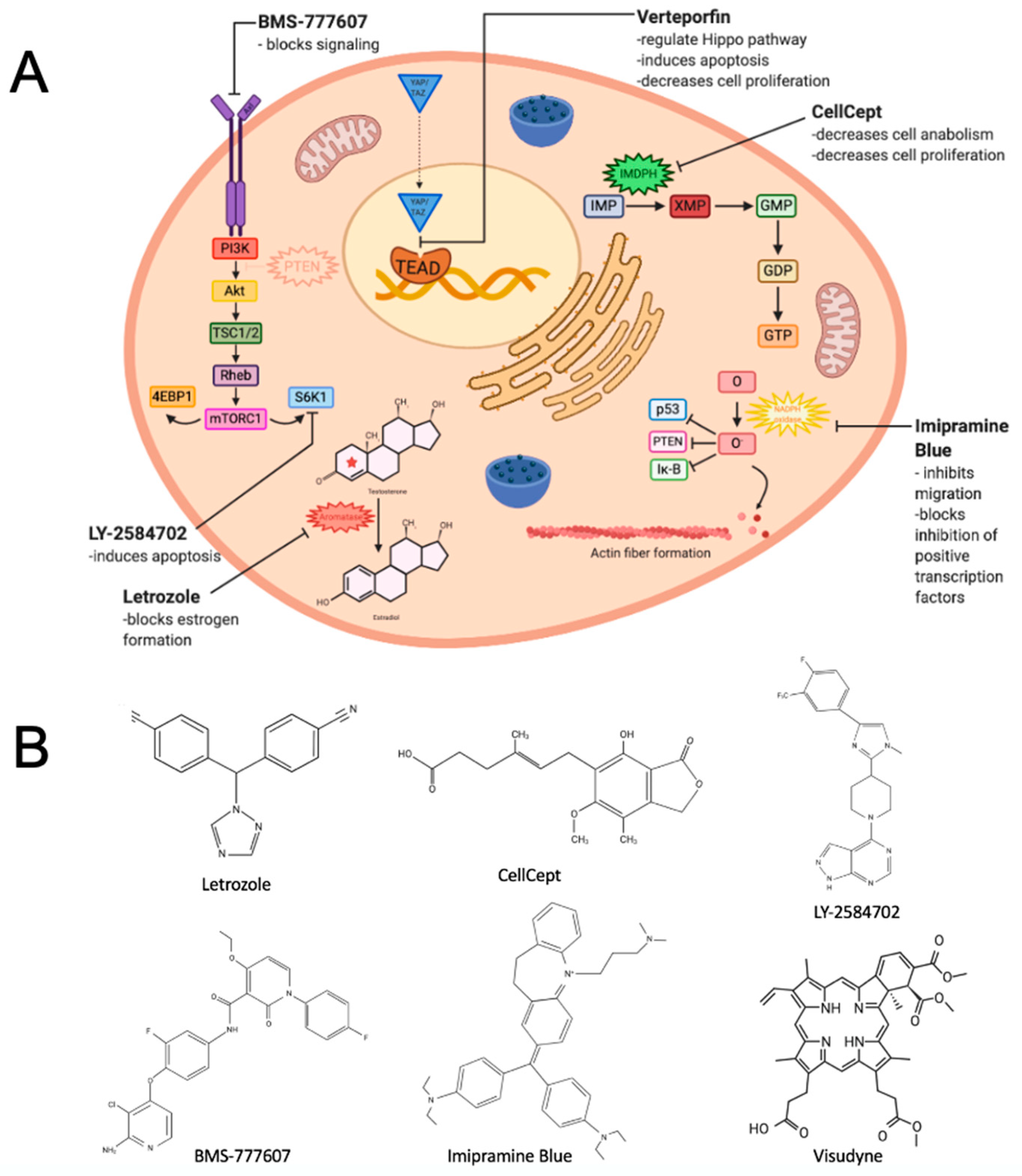 Reuse of Molecules for Glioblastoma Therapy Reuse of Molecules for Glioblastoma Therapy