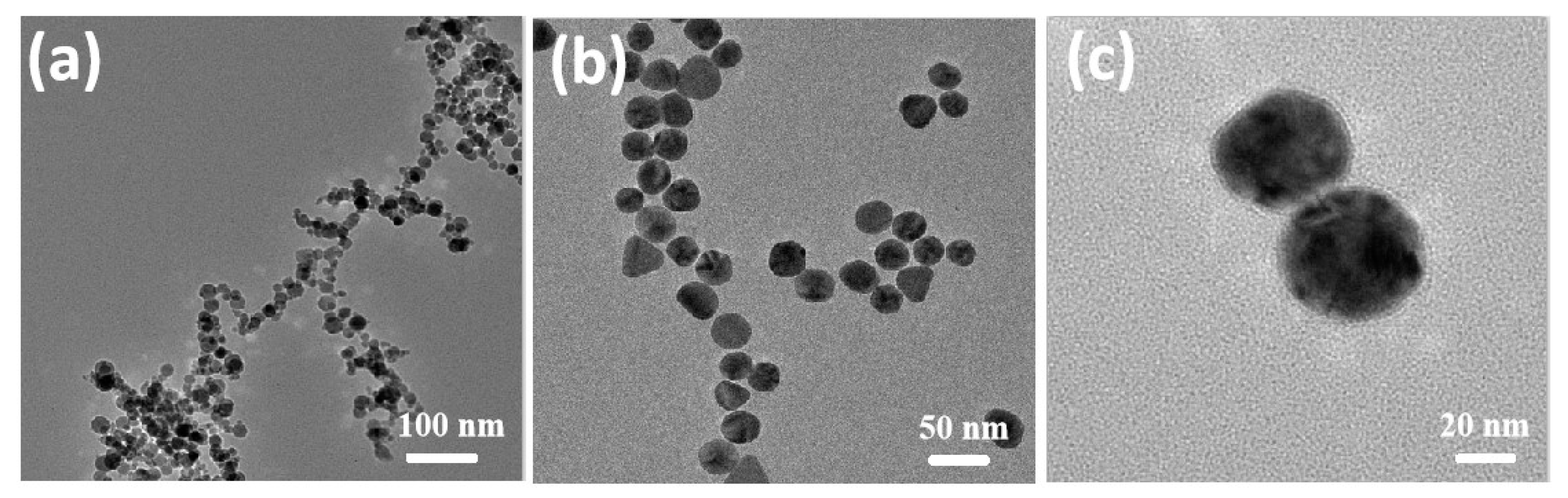 Pharmaceuticals 14 00101 g001 Pharmaceuticals 14 00101 g001