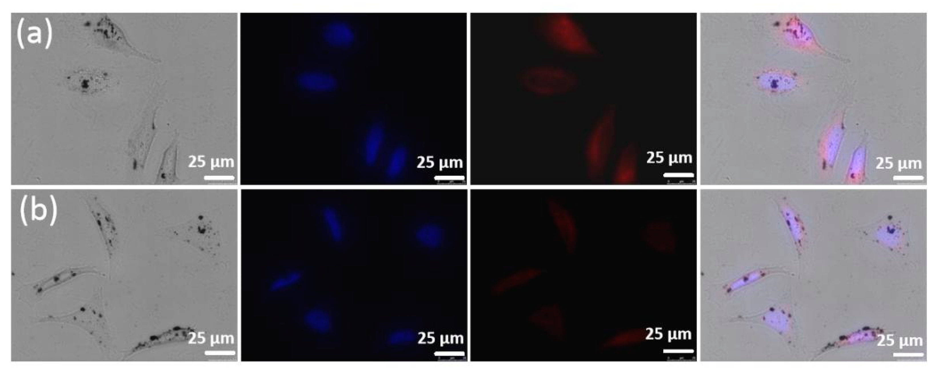 Pharmaceuticals 14 00101 g003 Pharmaceuticals 14 00101 g003