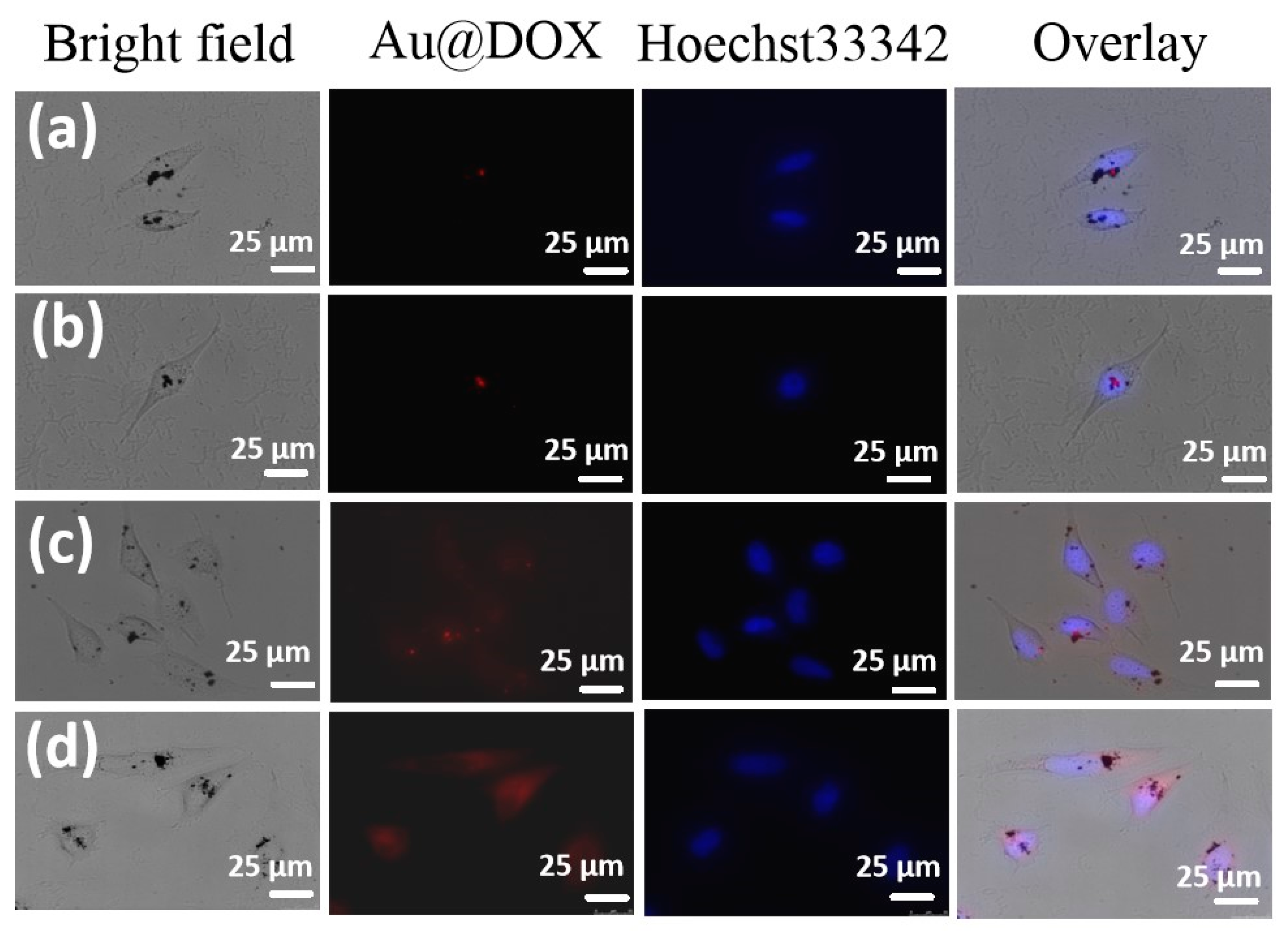 Pharmaceuticals 14 00101 g004 Pharmaceuticals 14 00101 g004