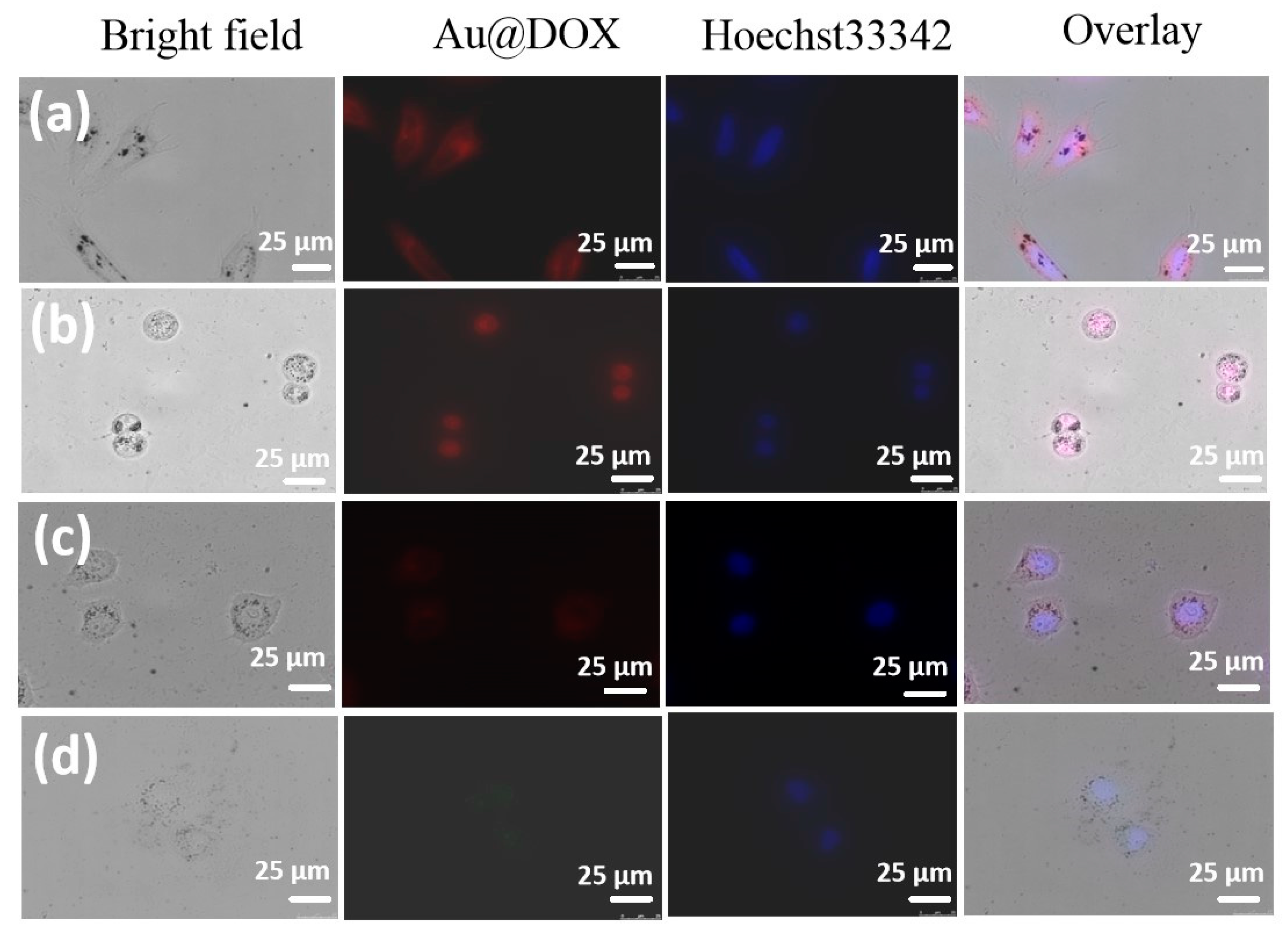 Pharmaceuticals 14 00101 g005 Pharmaceuticals 14 00101 g005