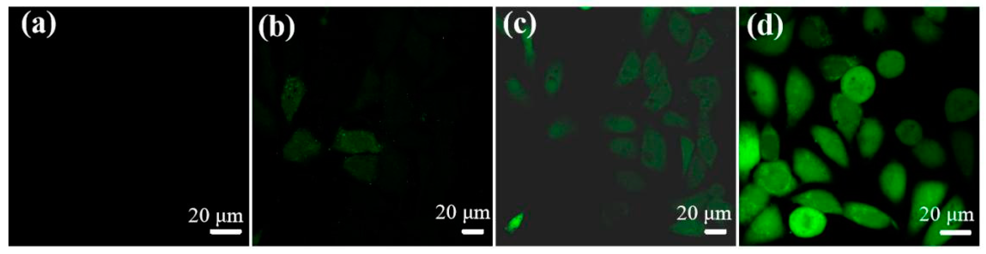 Pharmaceuticals 14 00101 g008 Pharmaceuticals 14 00101 g008