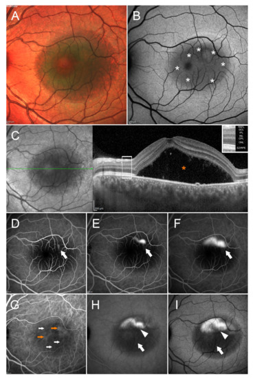Pharmaceuticals 14 00105 g001 550