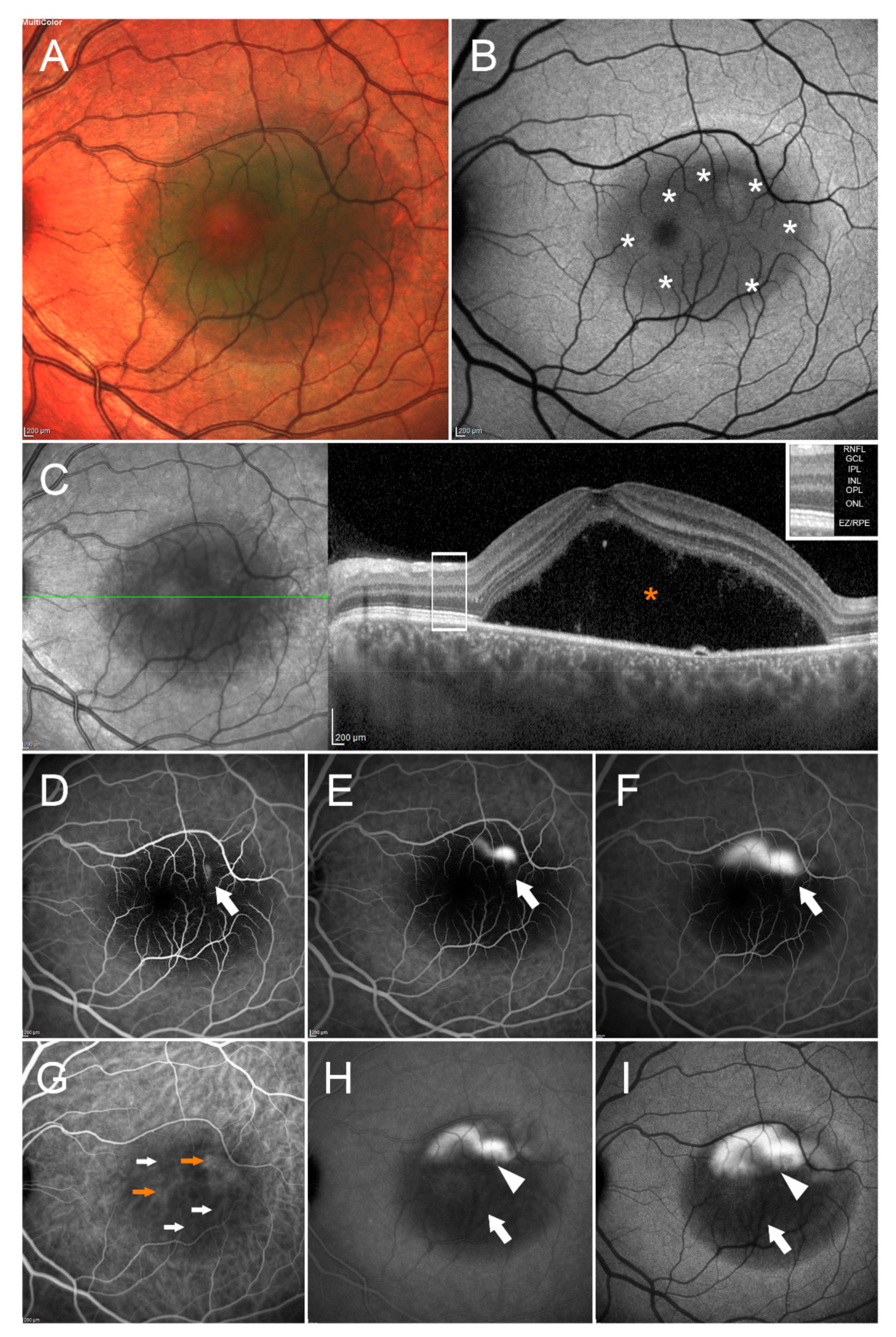 Pharmaceuticals 14 00105 g001 Pharmaceuticals 14 00105 g001