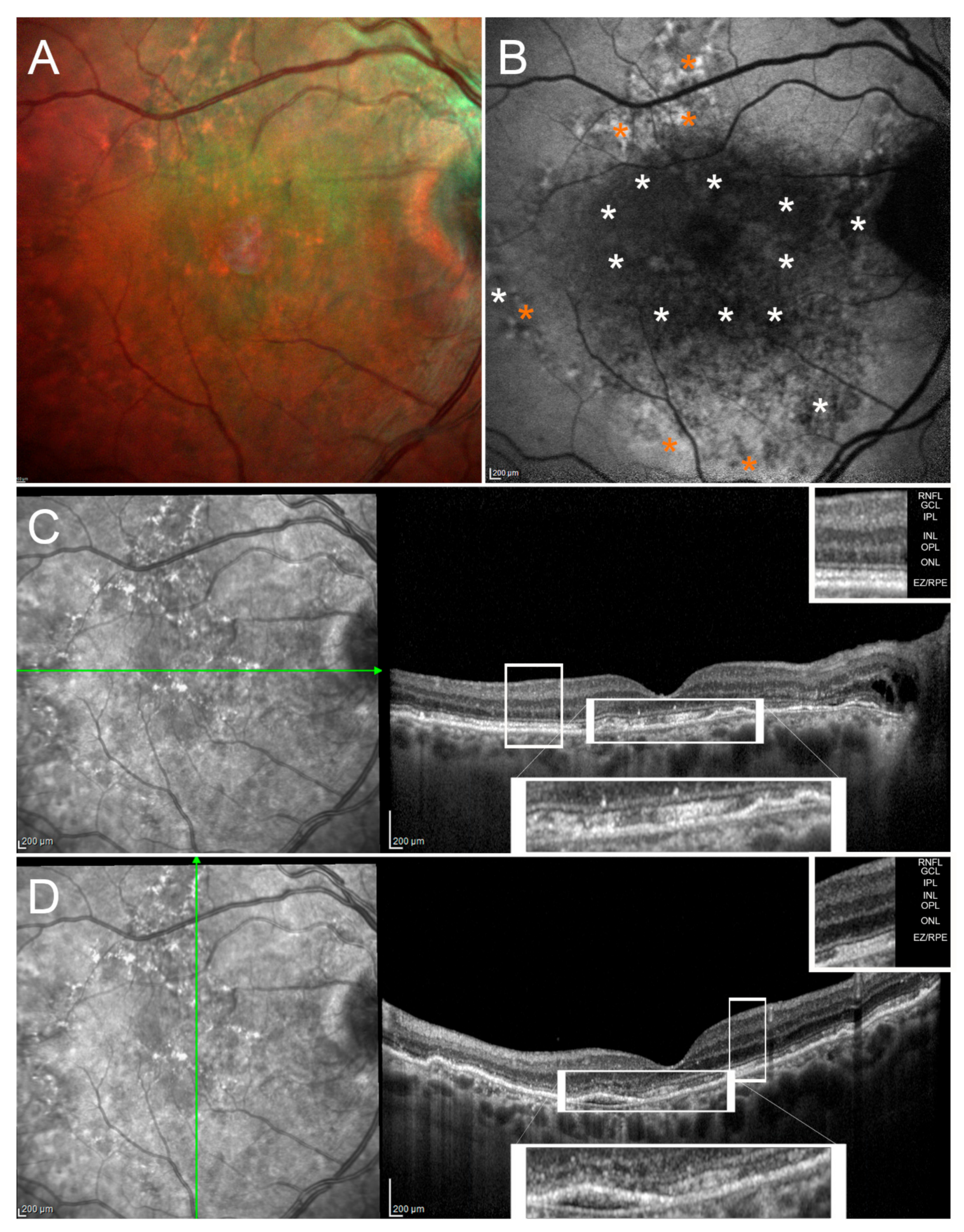 Pharmaceuticals 14 00105 g002 Pharmaceuticals 14 00105 g002