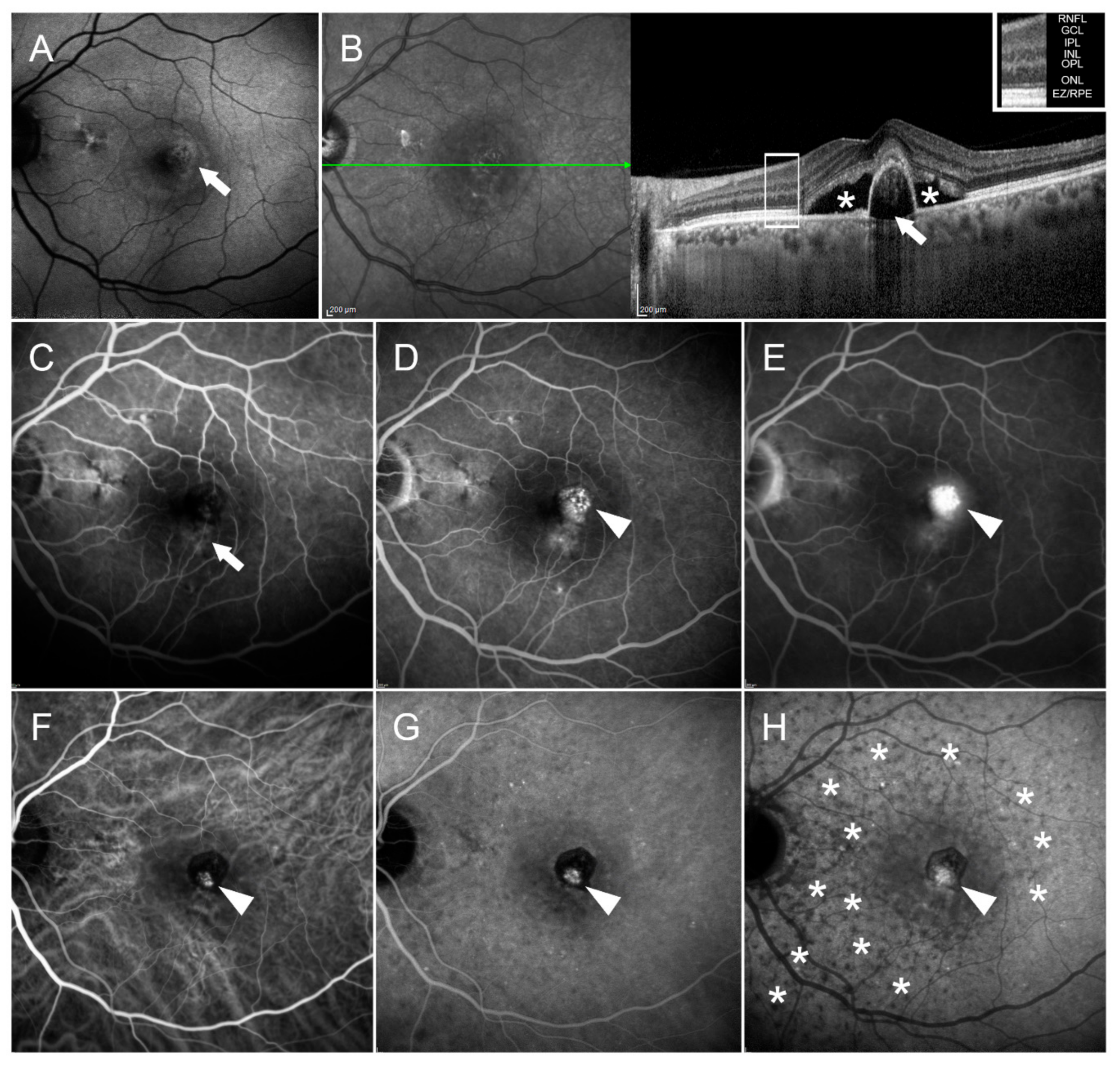 Pharmaceuticals 14 00105 g003 Pharmaceuticals 14 00105 g003